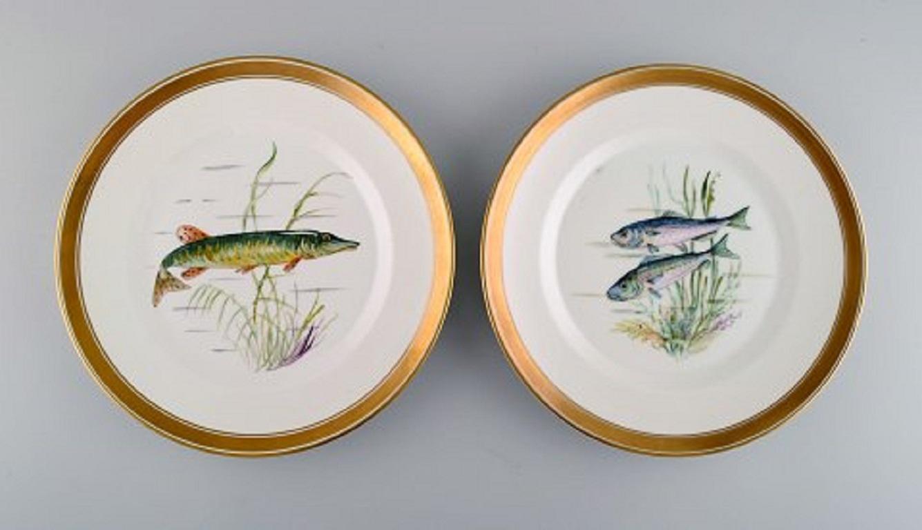 10 Royal Copenhagen porcelain fish plates with hand-painted fish motifs and gold decoration. 
Fauna Danica style. Dated 1960.
Diameter: 25.5 cm.
In excellent condition.
Stamped.
2nd factory quality.