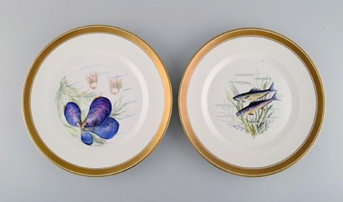 hand painted fish plates