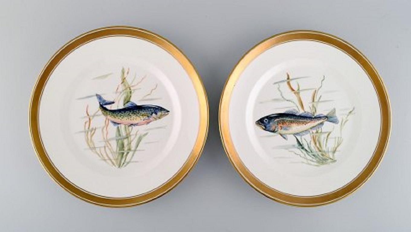10 Royal Copenhagen Porcelain Fish Plates with Hand-Painted Fish Motifs For Sale 1