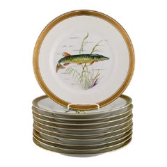 10 Royal Copenhagen Porcelain Fish Plates with Hand-Painted Fish Motifs