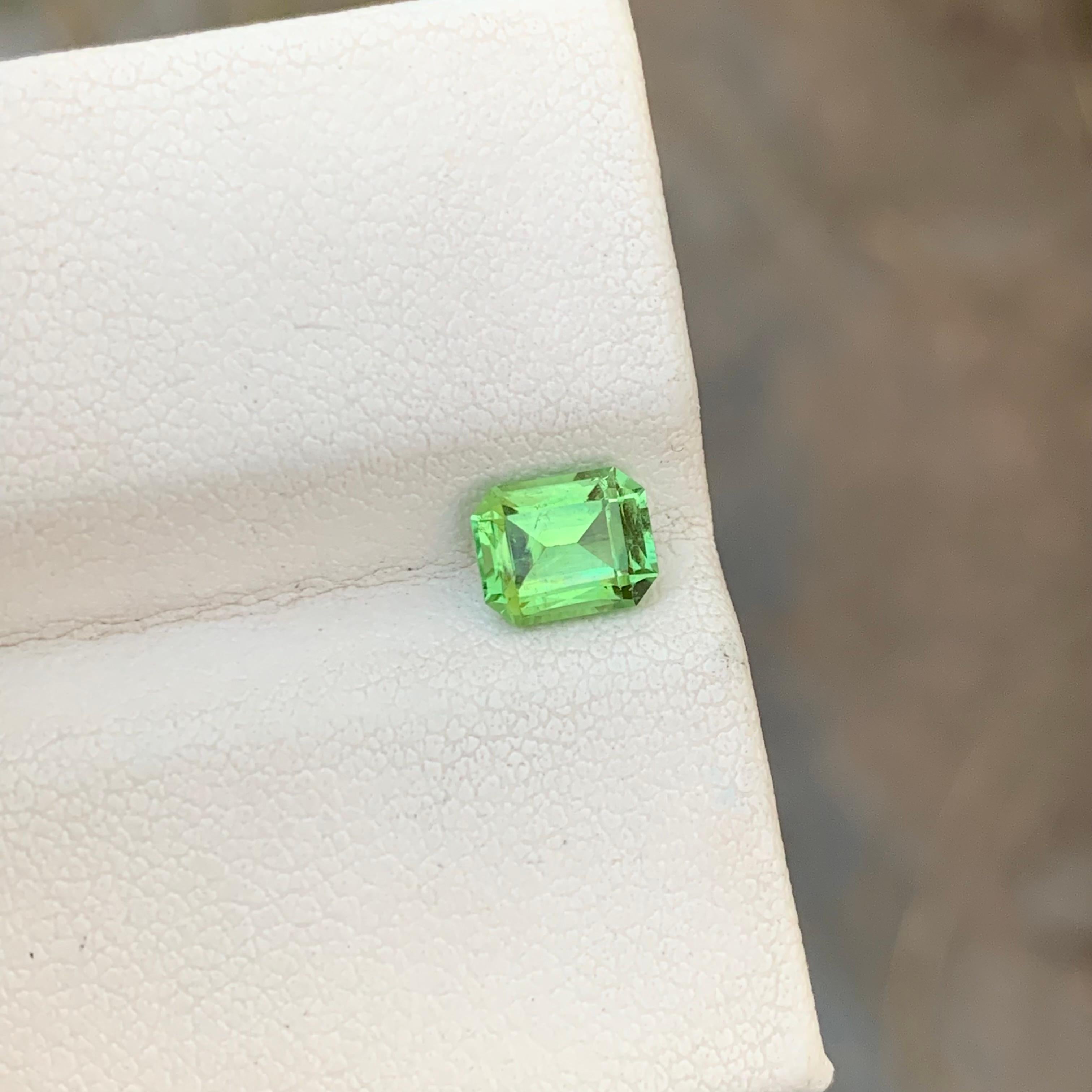 Loose Green Tourmaline
Weight: 1.00 Carats
Dimension: 6.5 x 5.2 x 3.9 Mm
Colour: Green 
Origin: Afghanistan
Certificate: On Demand
Treatment: Non

Tourmaline is a captivating gemstone known for its remarkable variety of colors, making it a favorite