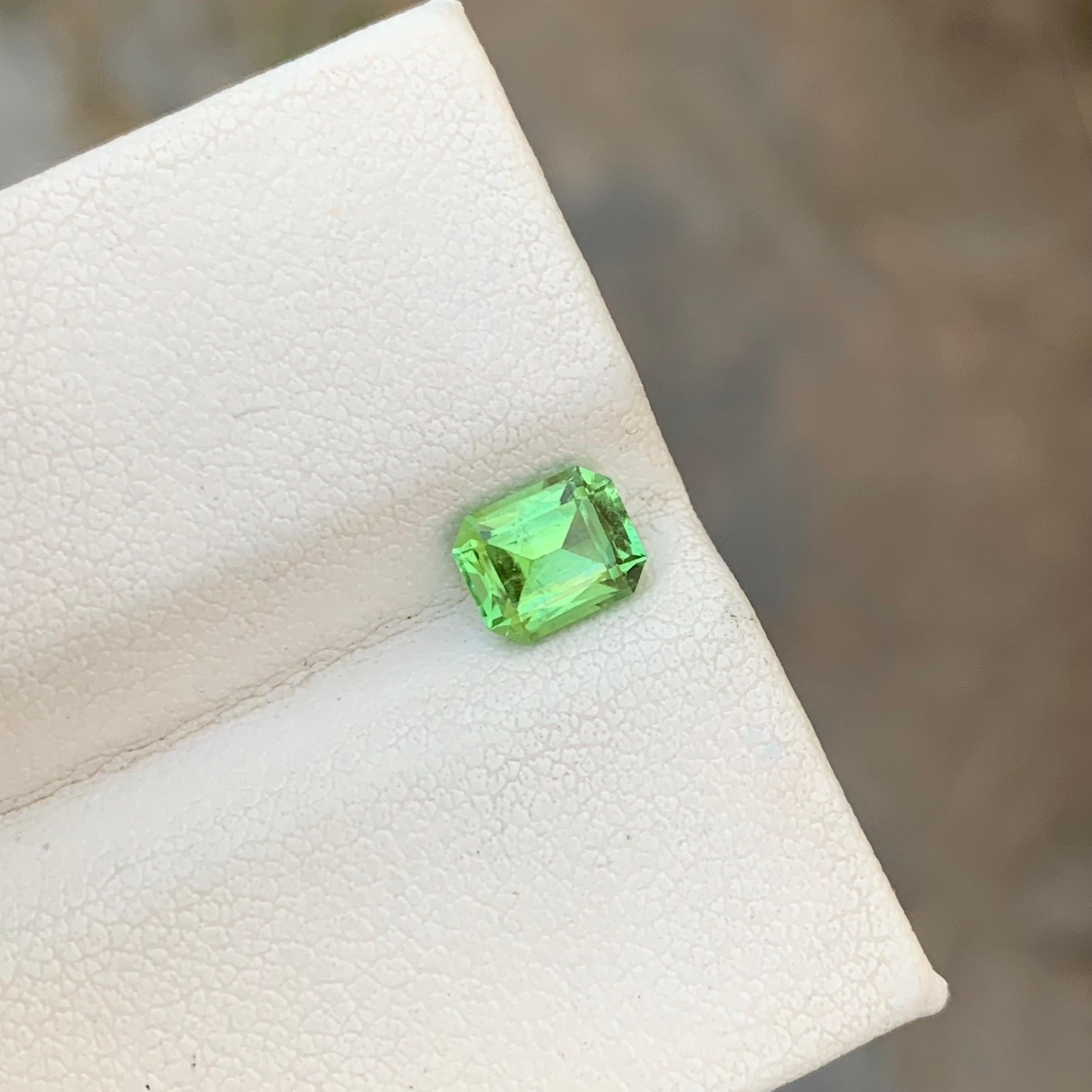Arts and Crafts 1.00 Carat Natural Loose Green Tourmaline Emerald Shape Gem For Jewellery Making For Sale