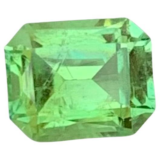 1.00 Carat Natural Loose Green Tourmaline Emerald Shape Gem For Jewellery Making For Sale