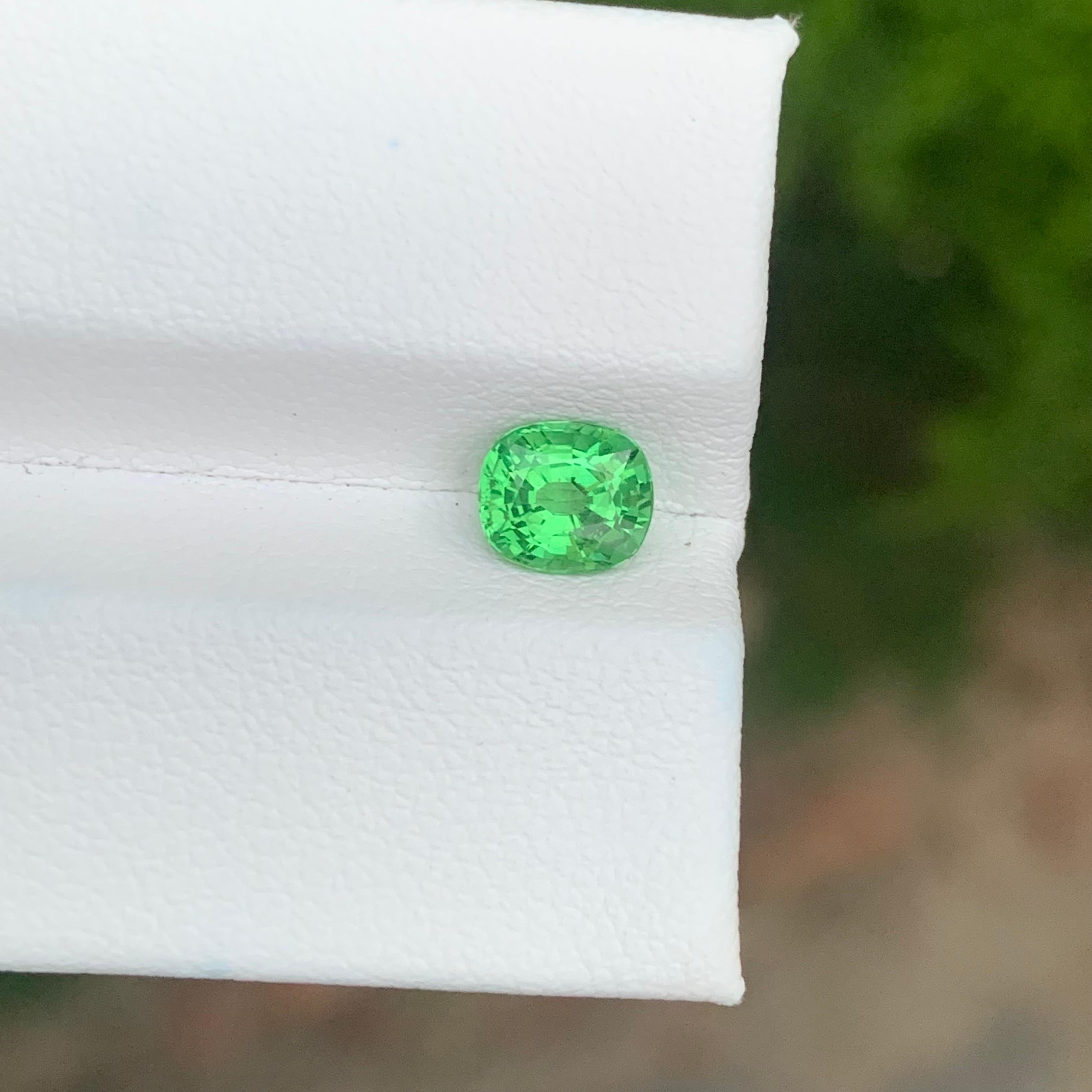 Faceted Tsavorite Garnet

Weight: 1.00 Carat
Dimension: 6.2 x 5.3 x 4 Mm
Clarity : SI
Treatment: Non
Certificate: On Client Demand

Faceted tsavorite garnet is a stunning green gemstone known for its vivid brilliance and exceptional clarity. A