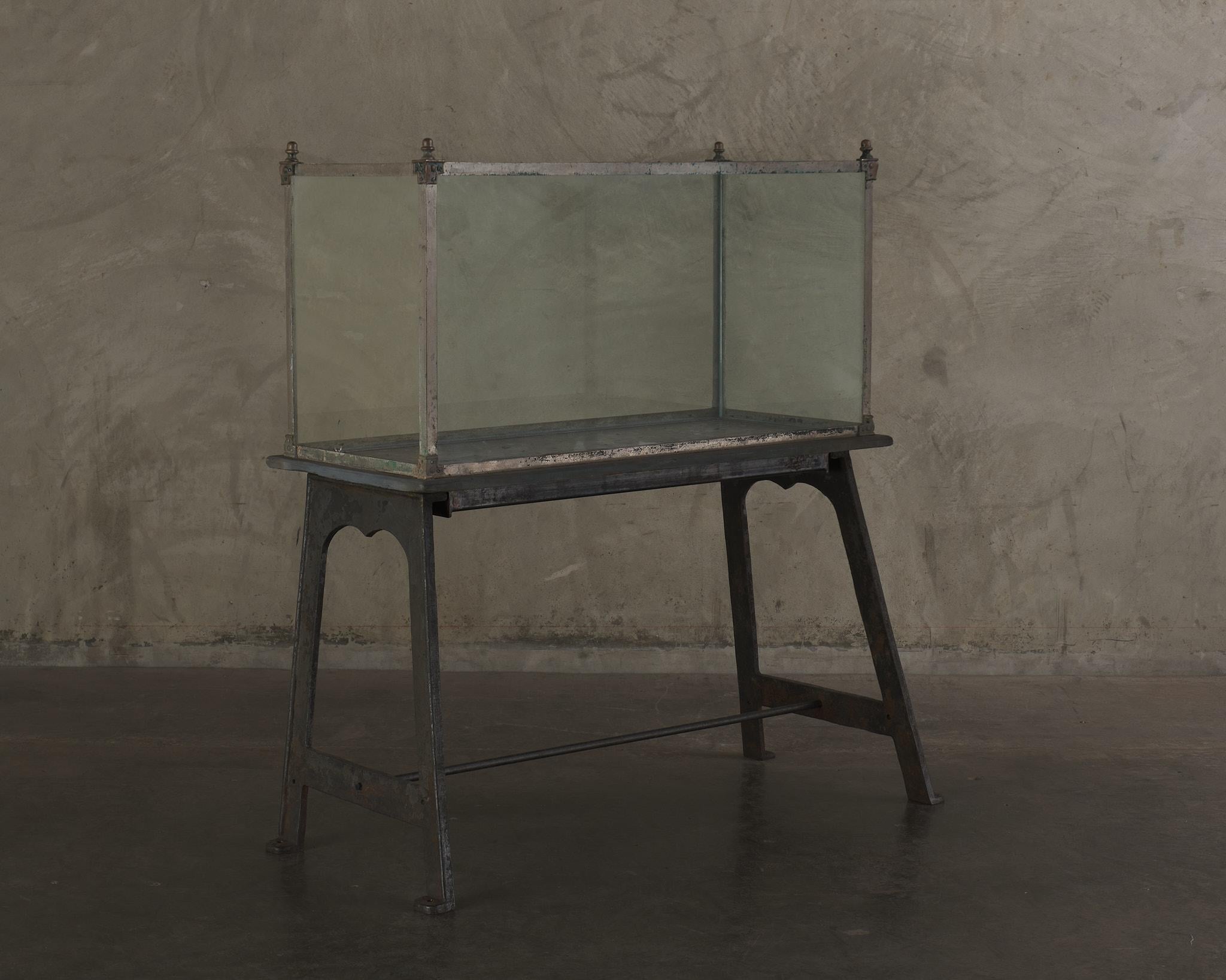 Unknown 100 Gallon Slate Bottom Aquarium, c1910