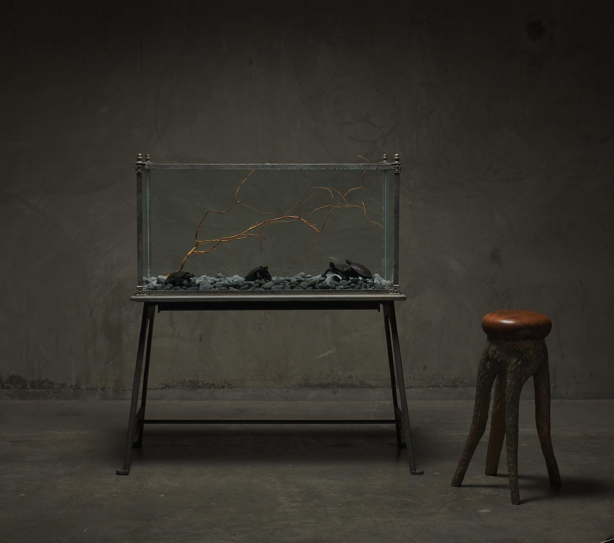 100 Gallon Slate Bottom Aquarium, c1910 2