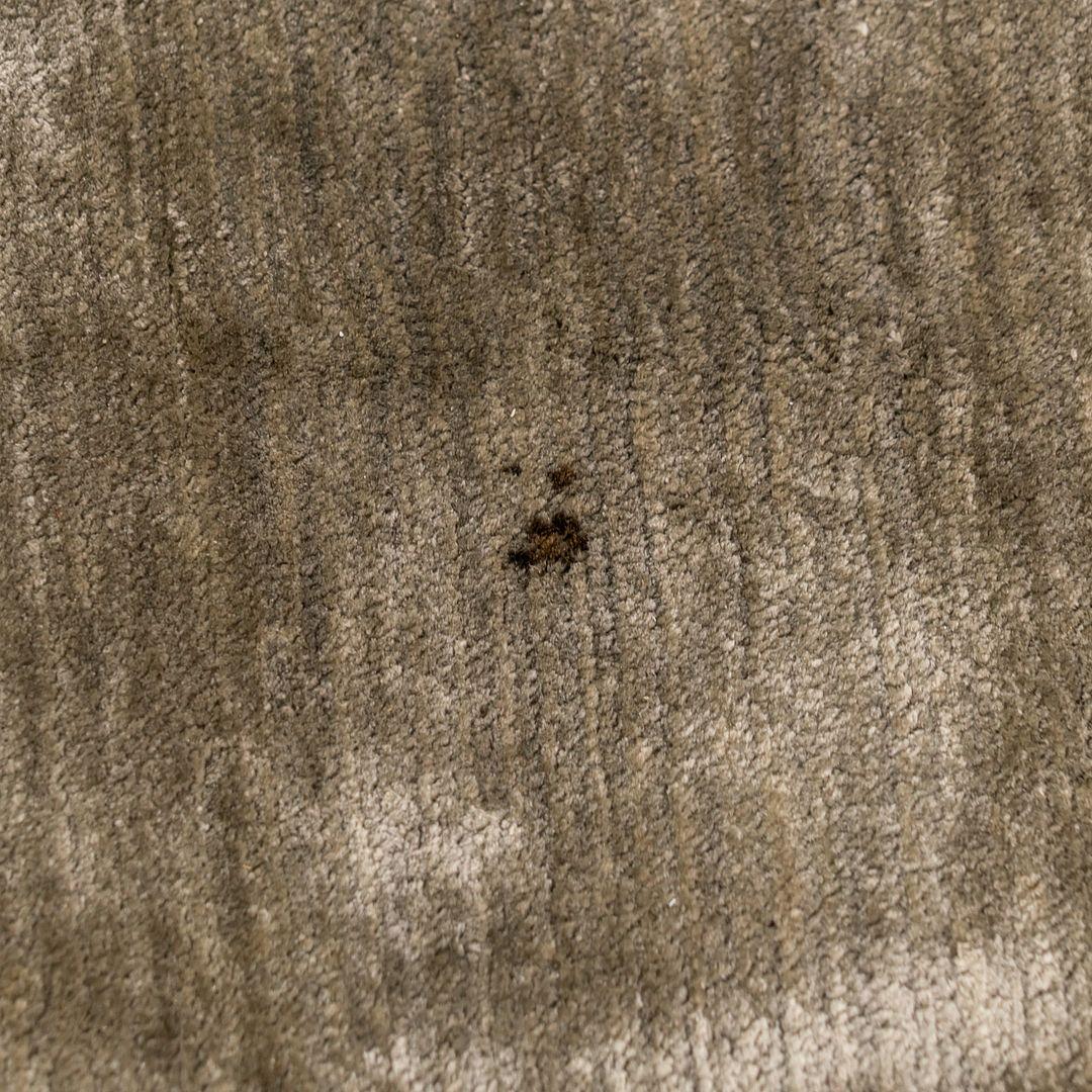Tapis vert 100 % soie importé par Carini Lang - Joseph Carini Carpets 10x14 pieds Bon état - En vente à Philadelphia, PA