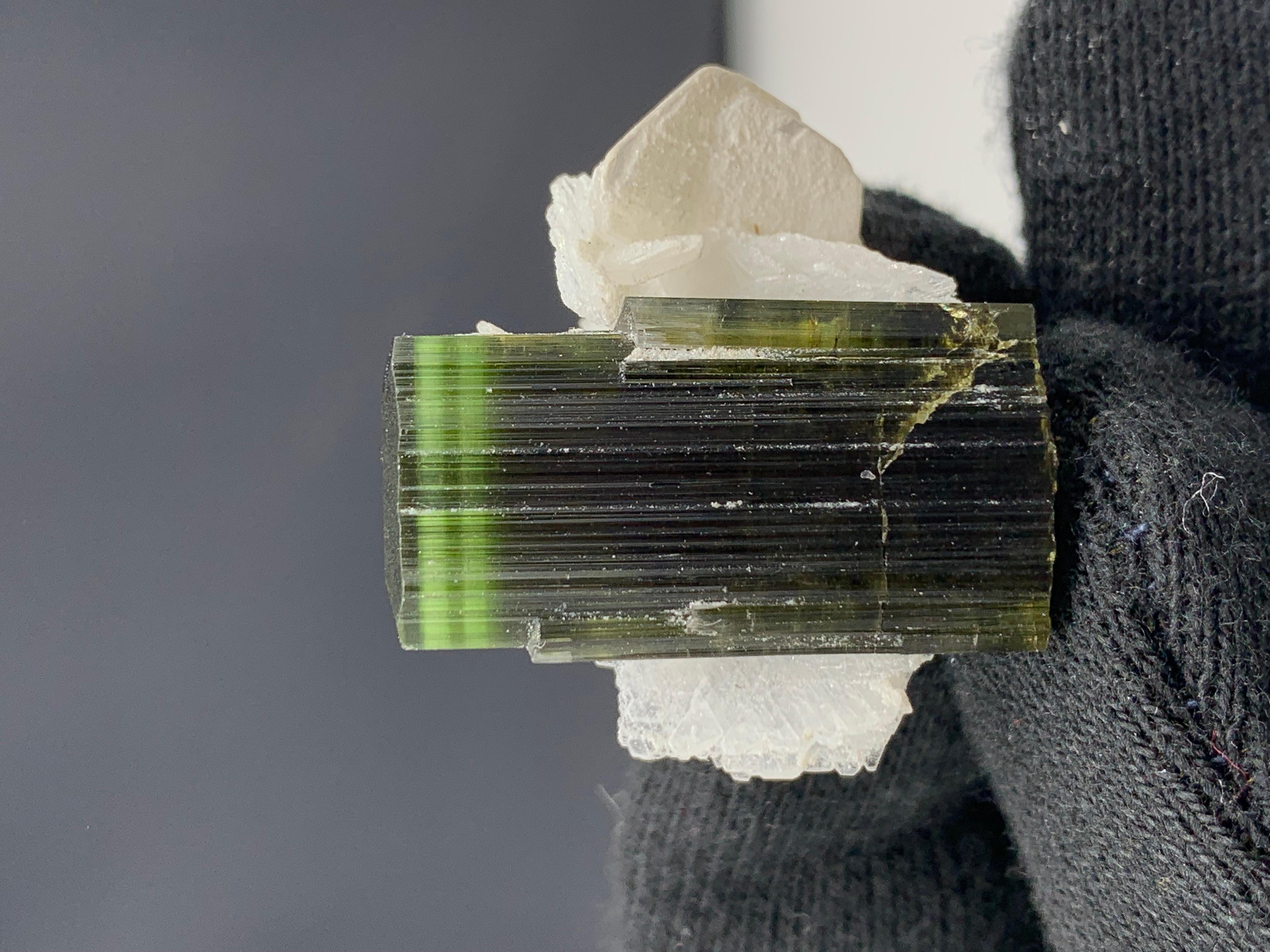 10.00 Gram Beautiful Tourmaline Specimen From Stak Nala, Skardu, Pakistan 

Weight: 10.00 Gram 
Dimension: 2.6 x 2.7 x 1.3 Cm
Origin: Stak Nala, Skardu, Pakistan 

Tourmaline is a crystalline silicate mineral group in which boron is compounded with