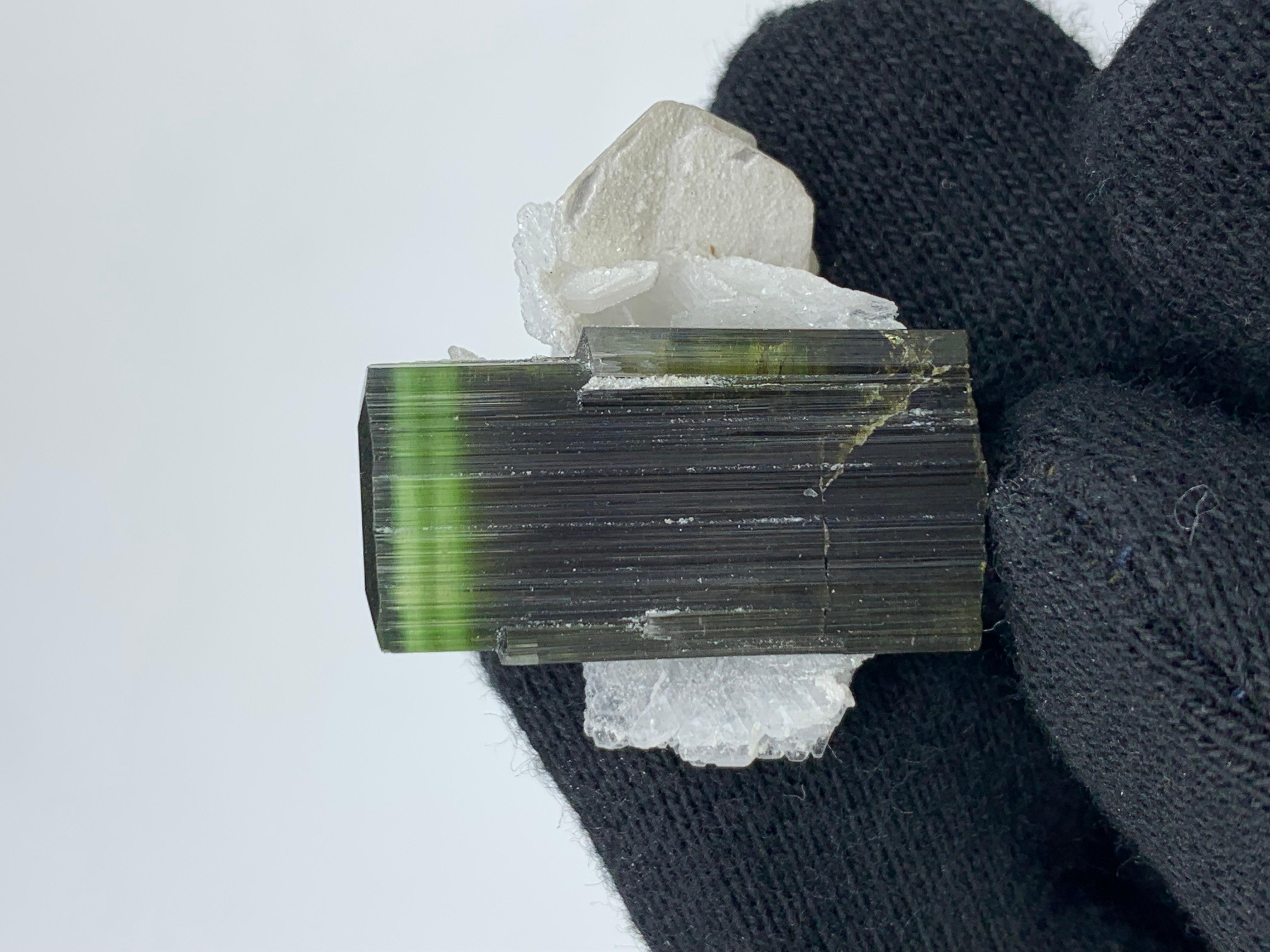 10.00 Gram Beautiful Tourmaline Specimen From Stak Nala, Skardu, Pakistan  For Sale 1