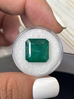 10.02 Carat 13.5x13.5 Dark Green Zambian Emerald - Asscher Cut May Birthstone