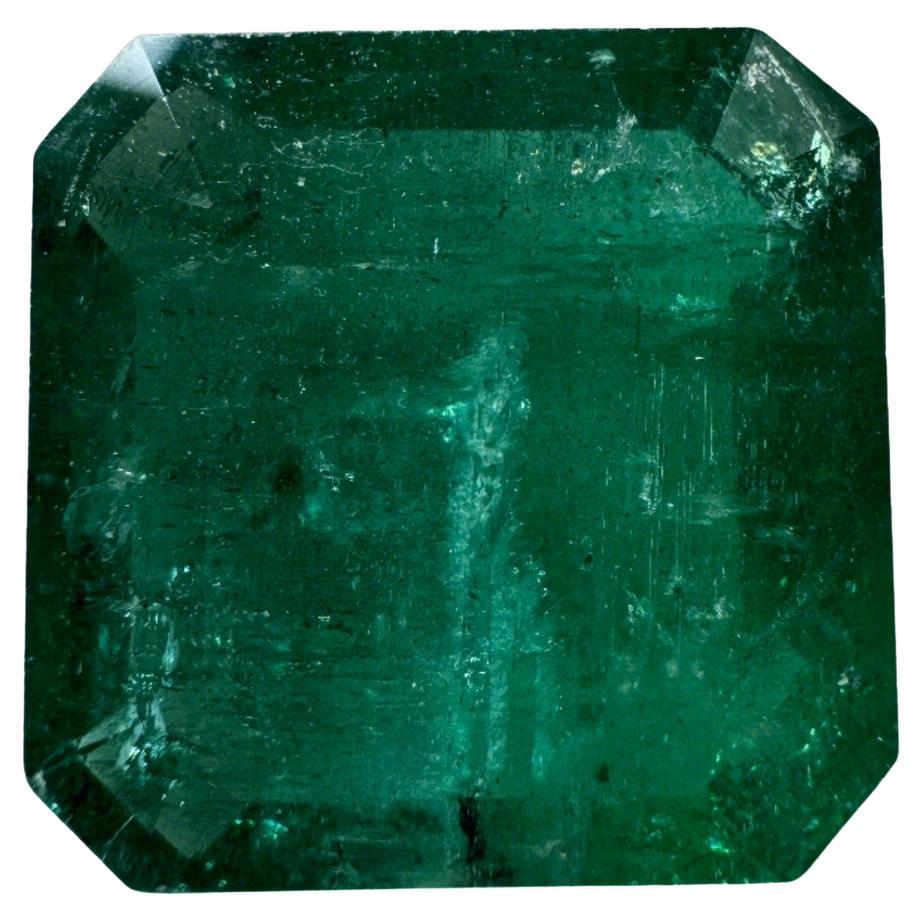 10.02 Carat 13.5x13.5 Dark Green Zambian Emerald - Asscher Cut May Birthstone For Sale