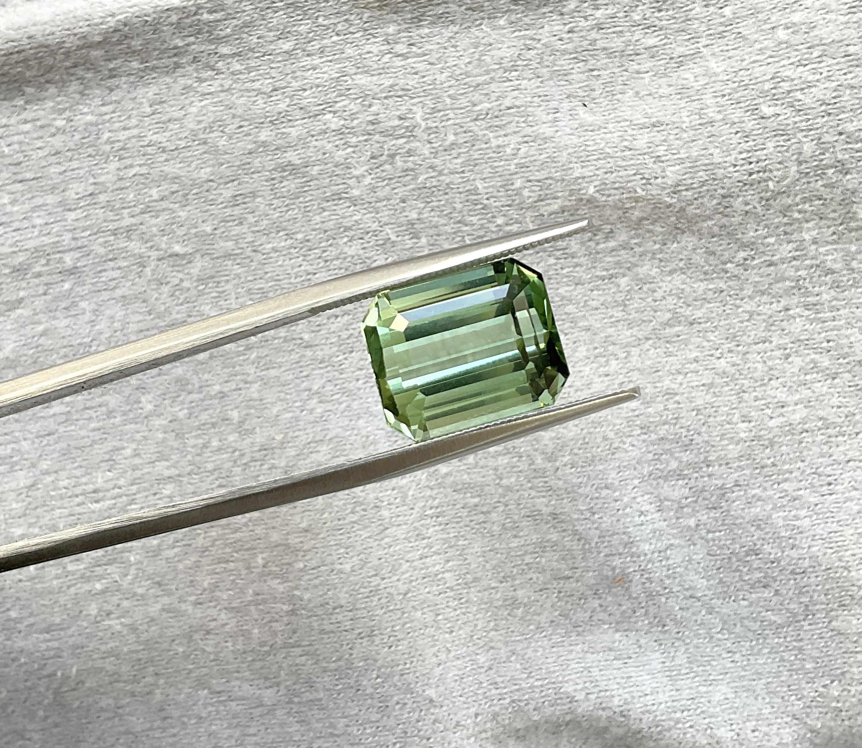 10.07 carats green Tourmaline octagon Faceted cut stone Top Quality Natural gem In New Condition For Sale In Jaipur, RJ
