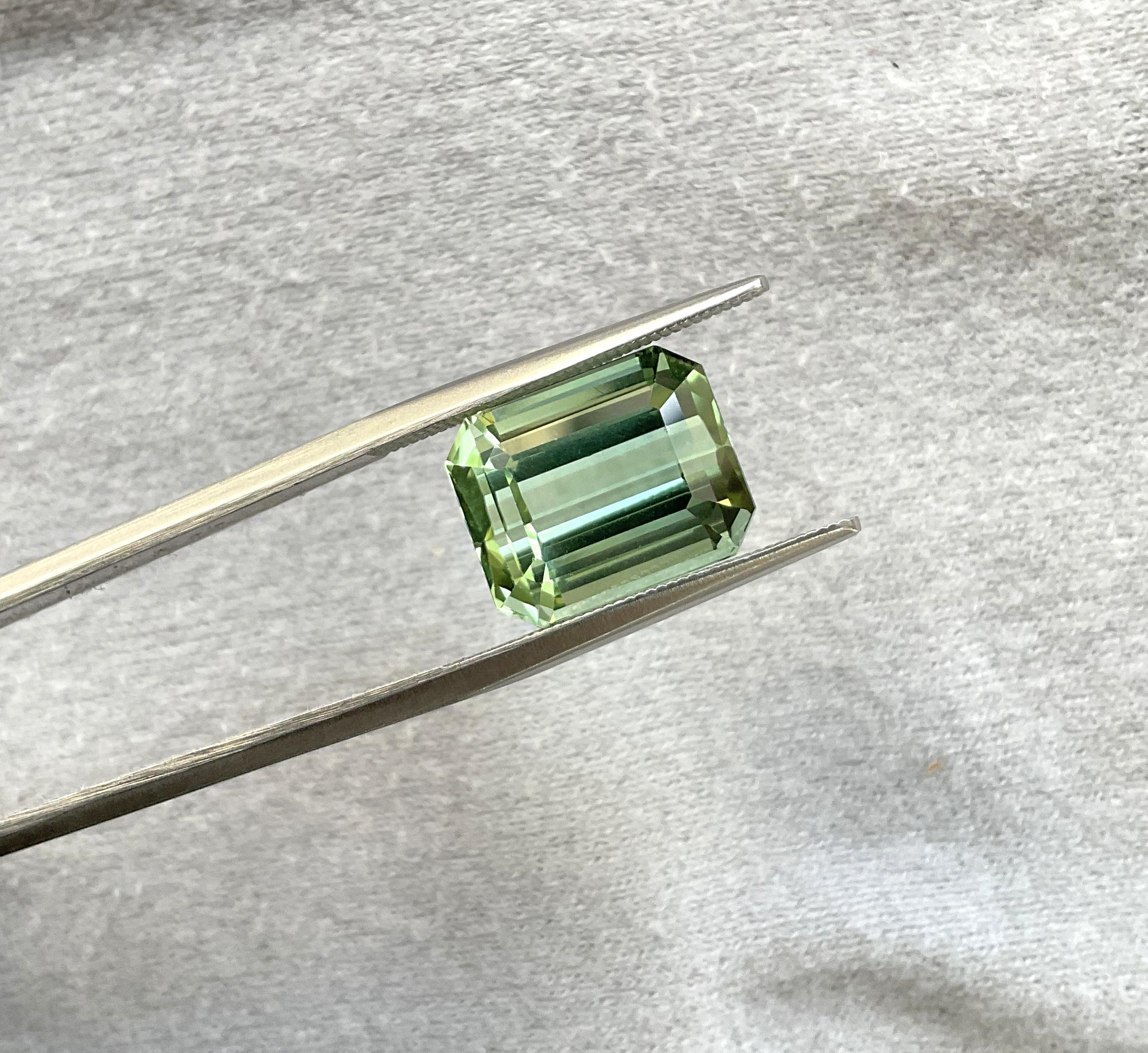 Women's or Men's 10.07 carats green Tourmaline octagon Faceted cut stone Top Quality Natural gem For Sale