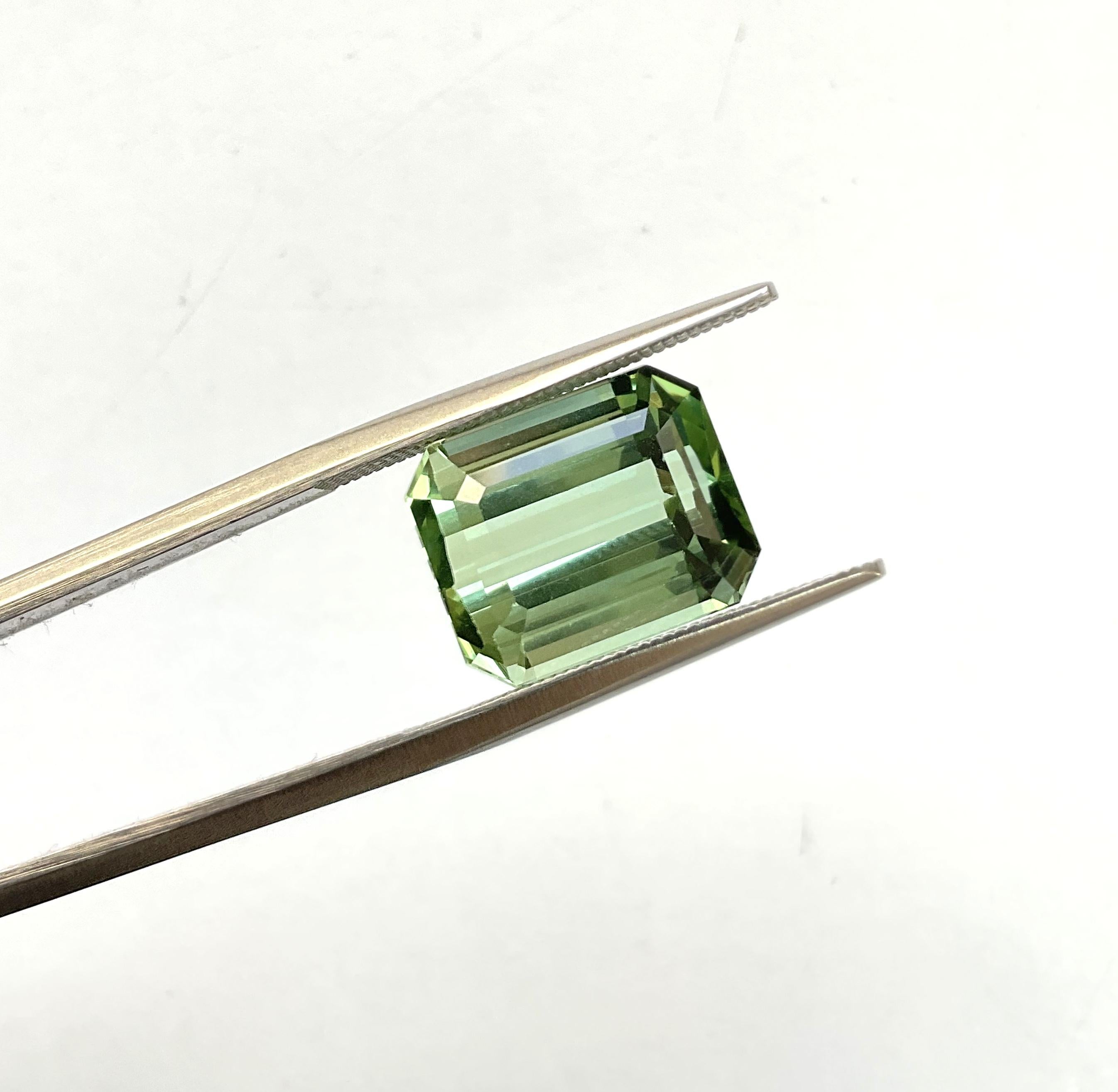 10.07 carats green Tourmaline octagon Faceted cut stone Top Quality Natural gem For Sale 1