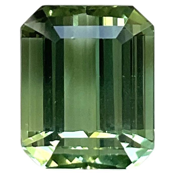 10.07 carats green Tourmaline octagon Faceted cut stone Top Quality Natural gem