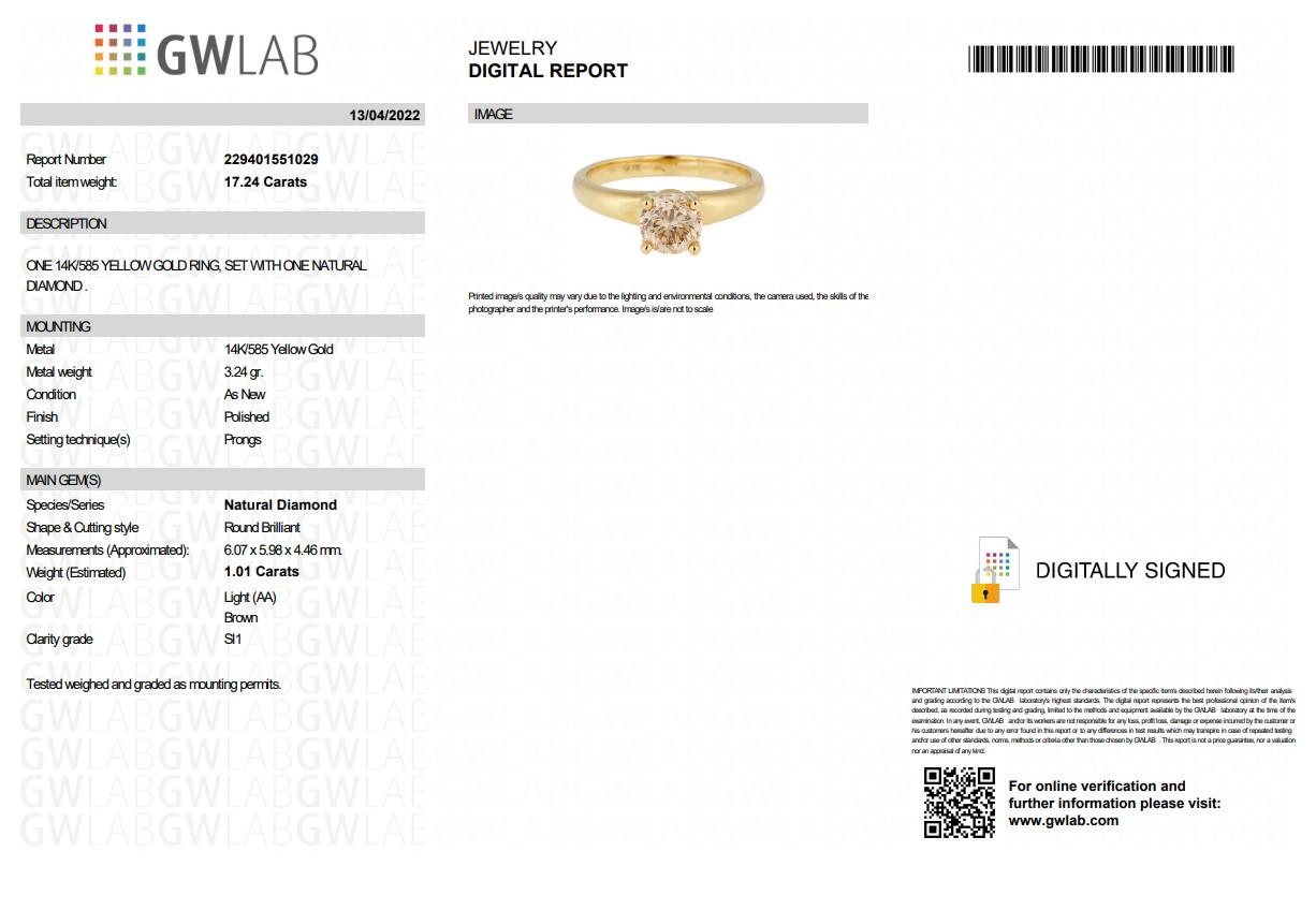 1.01 Karat natürlicher hellbrauner Diamantring – kein Mindestpreis 1