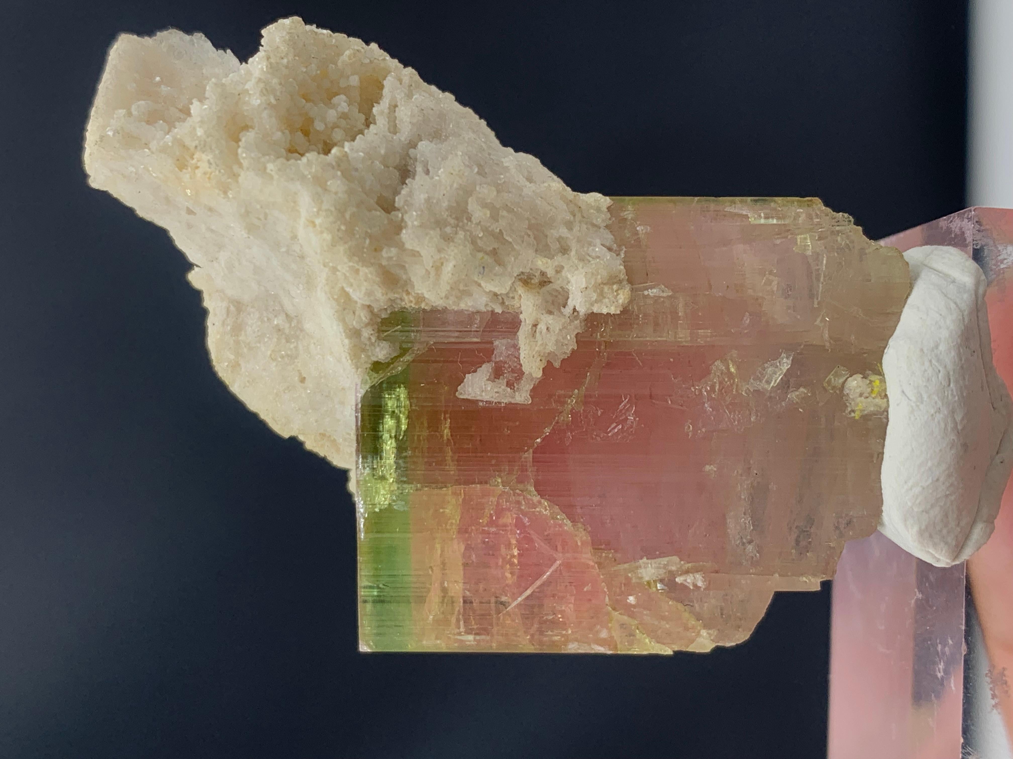 101.35 Carat Beautiful Bi Color Tourmaline with Albite from Afghanistan For Sale 4