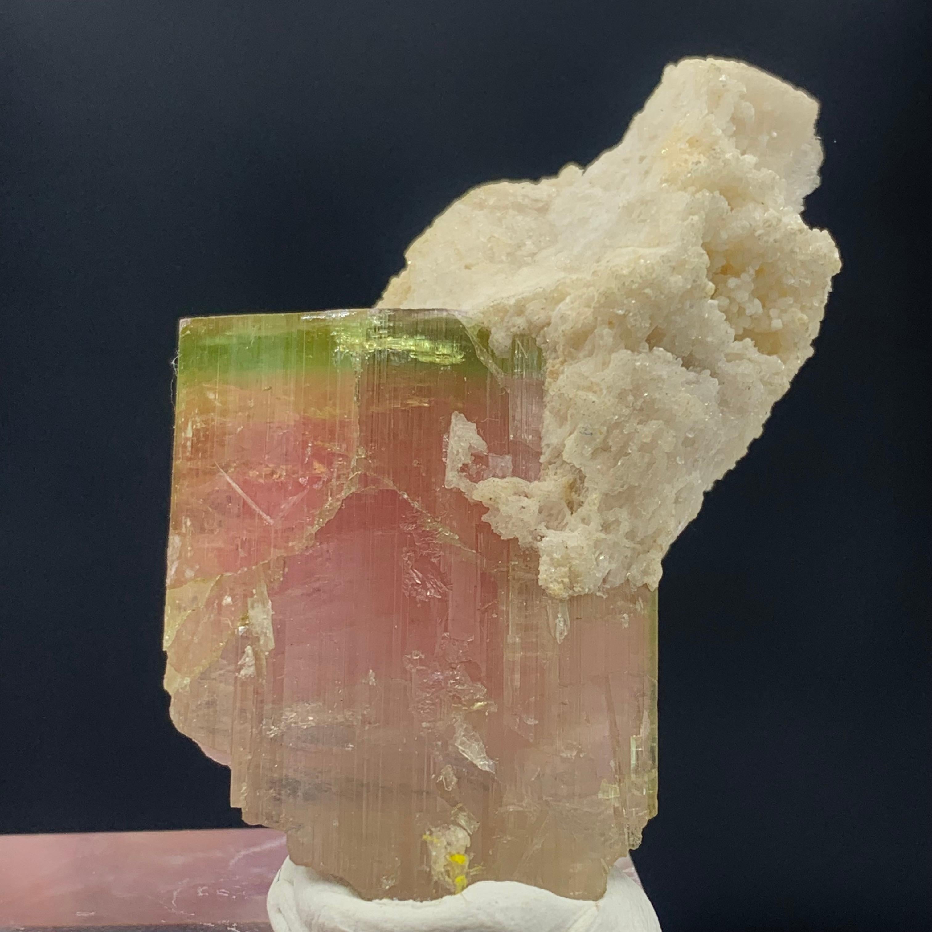 101.35 Carat Beautiful Bi Color Tourmaline with Albite from Afghanistan For Sale 6
