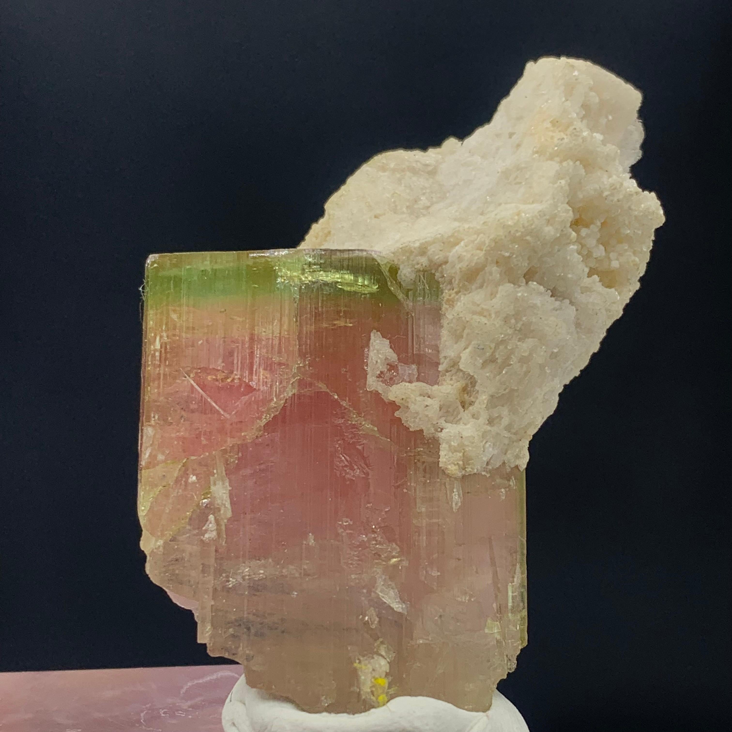 Beautiful Bi-Color Tourmaline With Albite From Afghanistan
WEIGHT: 101.35 Carat
DIMENSIONS: 4.5 x 3.4 x 1.5 Cm
ORIGIN: Nuristan, Afghanistan
TREATMENT: None

Tourmaline is an extremely popular gemstone; the name Tourmaline is derived from