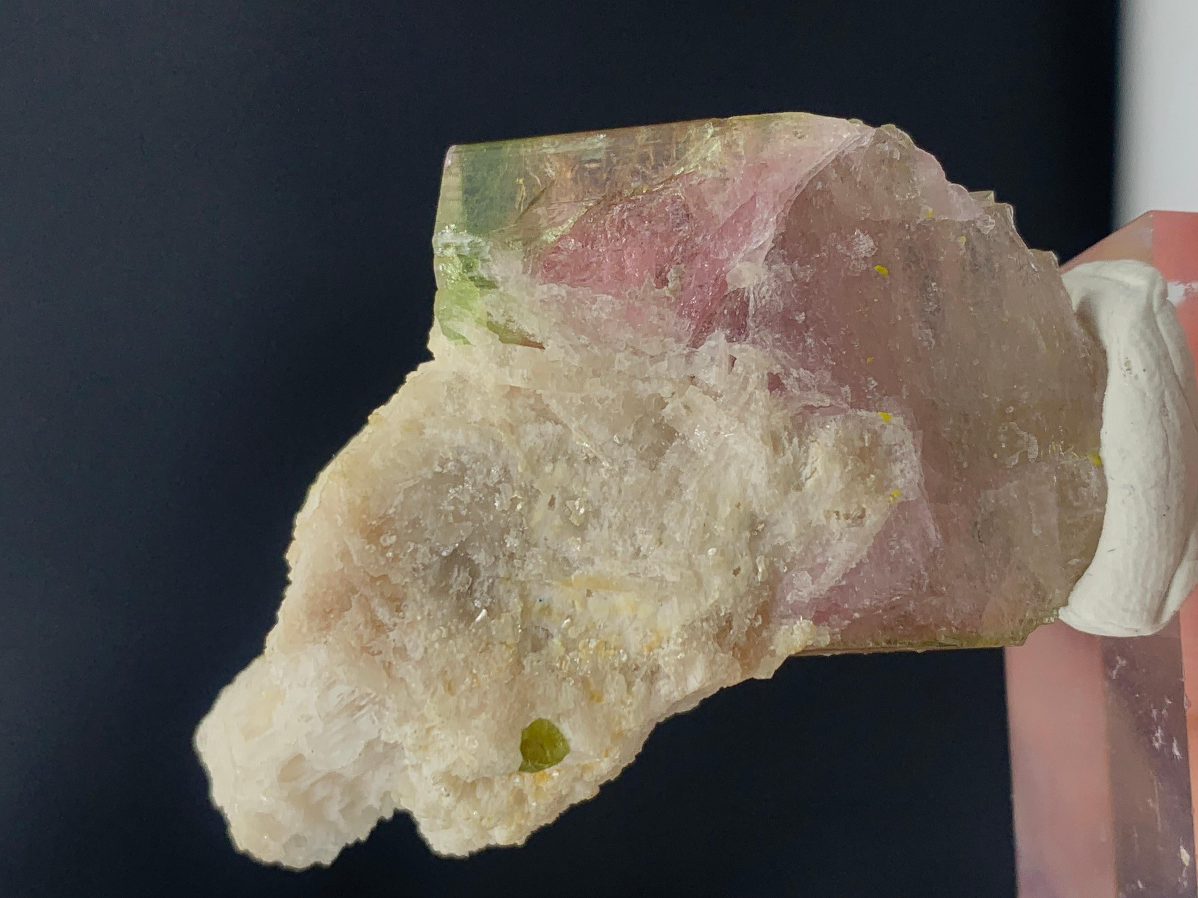 Cristal de roche Magnifique tourmaline bicolore de 101,35 carats avec Albite d'Afghanistan en vente