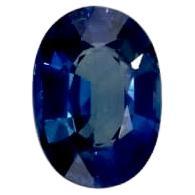 1,02 Karat natürlicher blauer Saphir Edler loser Edelstein, personalisierbarer Ring im Angebot