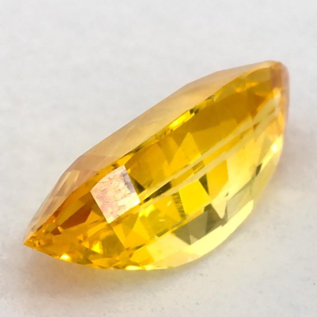 1.02 Ct Yellow Sapphire Marquise Loose Gemstone en vente 3