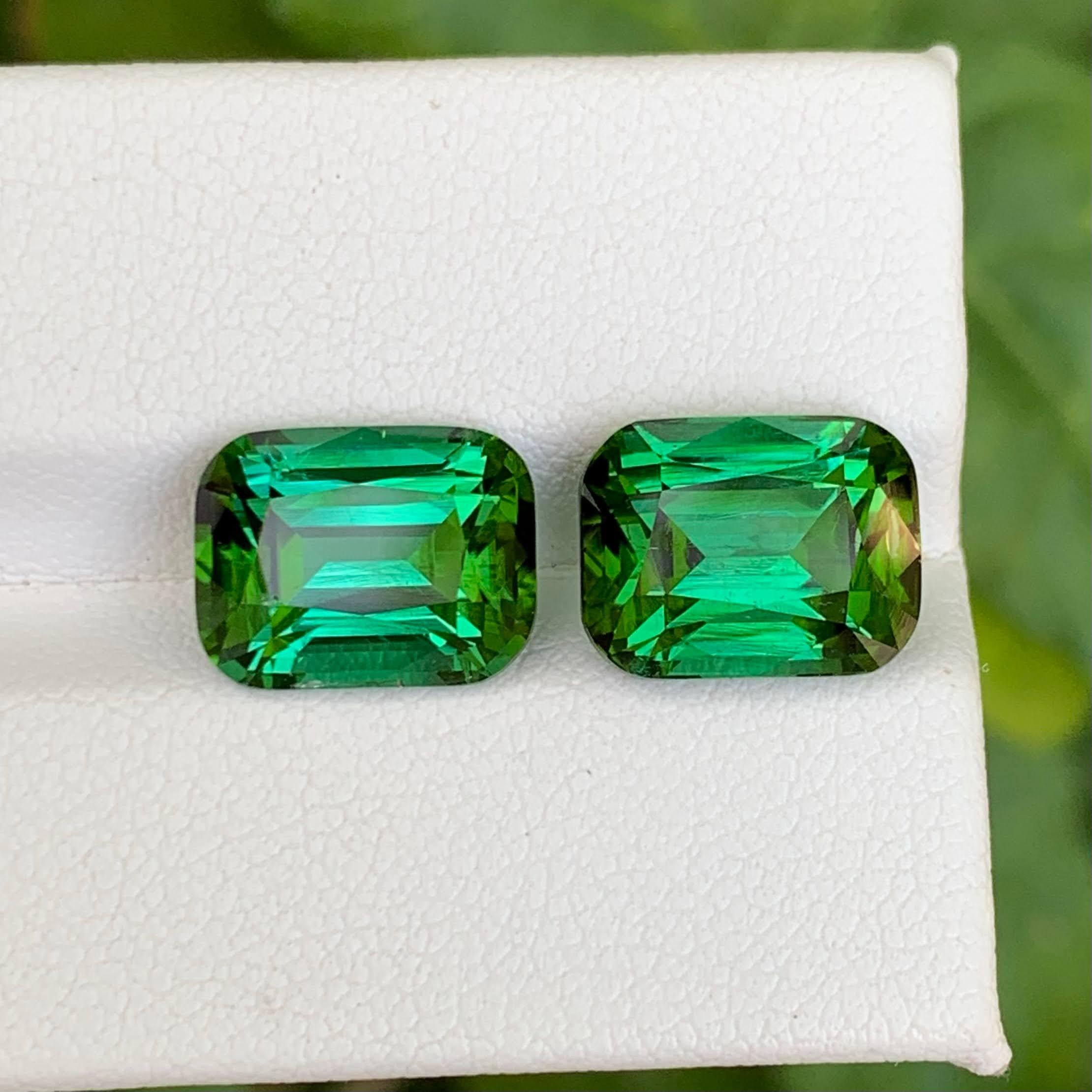 Peso 10,20 quilates
Dimensiones 11,2x8,7x6,5 mm
Tratamiento Ninguno 
Origen Afgano 
Claridad VVS 
Forma Corte Cojín 





Esta Pareja de Turmalinas Verdosas Sueltas Naturales de 10,20 Quilates presenta una asombrosa armonía de tonos verdes terrosos,