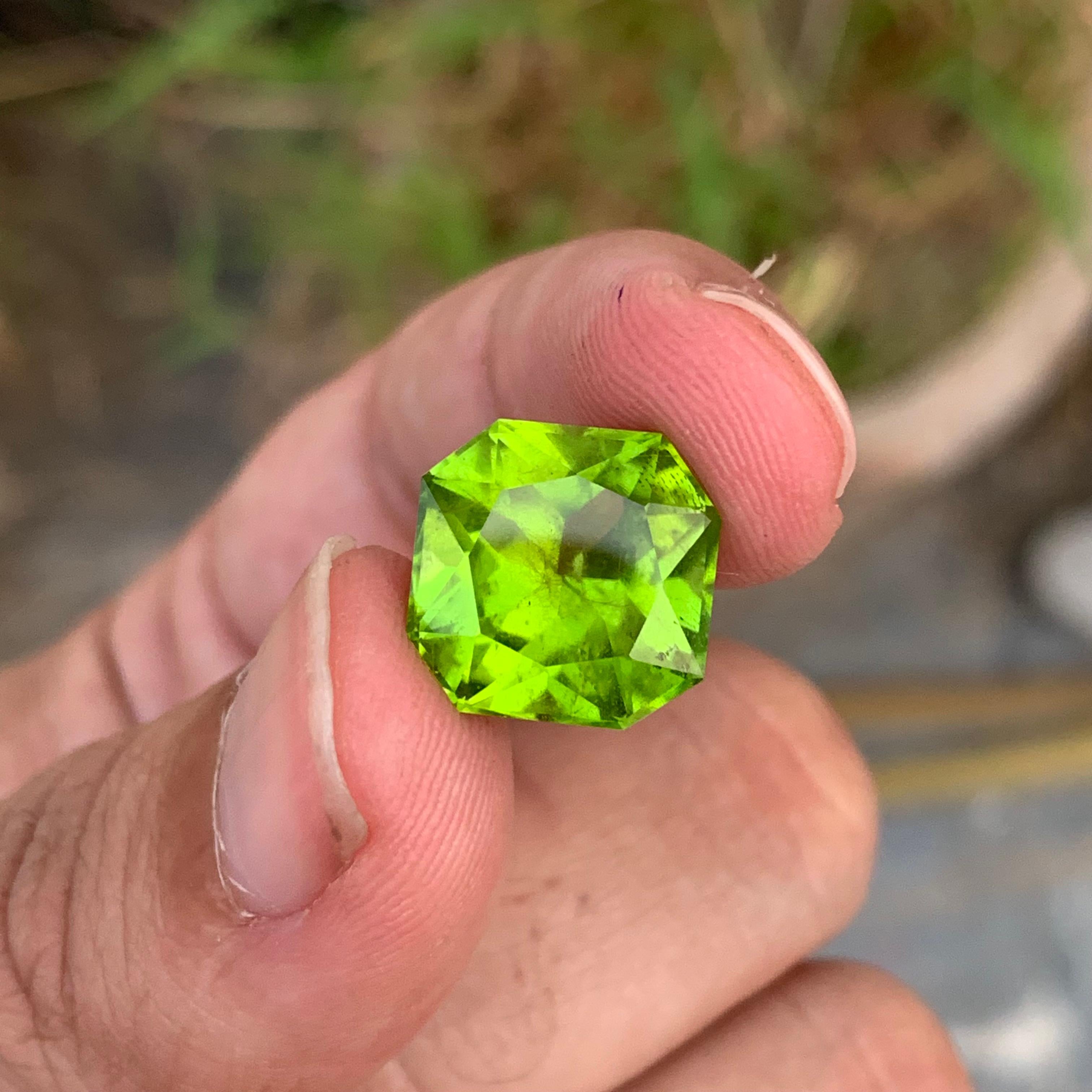10,20 Karat Oktagonform Peridot Edelstein Pakistan Mine für Damen oder Herren im Angebot