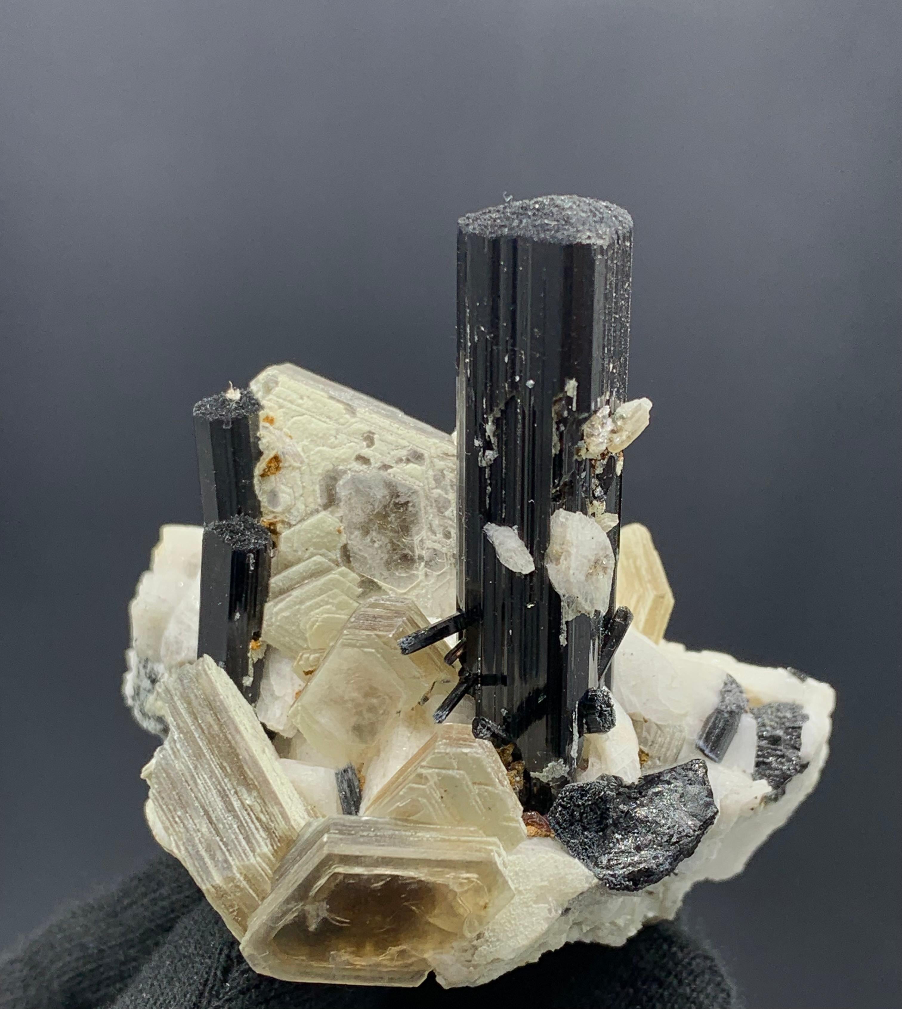 Pakistani 102.07 Gram Black Tourmaline Specimen Attached With Muscovite From Pakistan  For Sale