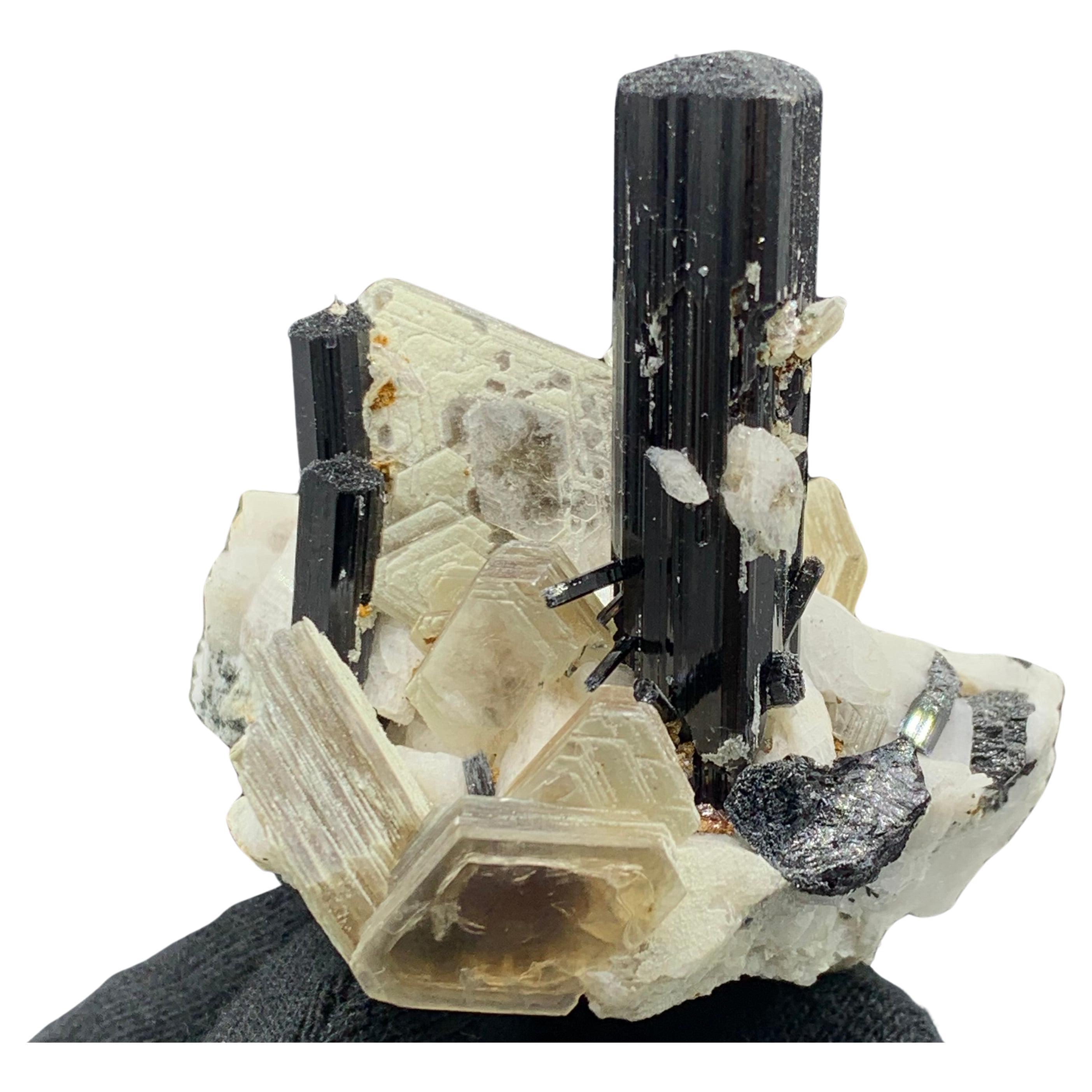 102.07 Gram Black Tourmaline Specimen Attached With Muscovite From Pakistan  For Sale