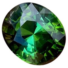 10,20 ct. Tourmaline VERTE, pierre précieuse naturelle en vrac, taille ovale, originaire du Nigeria.