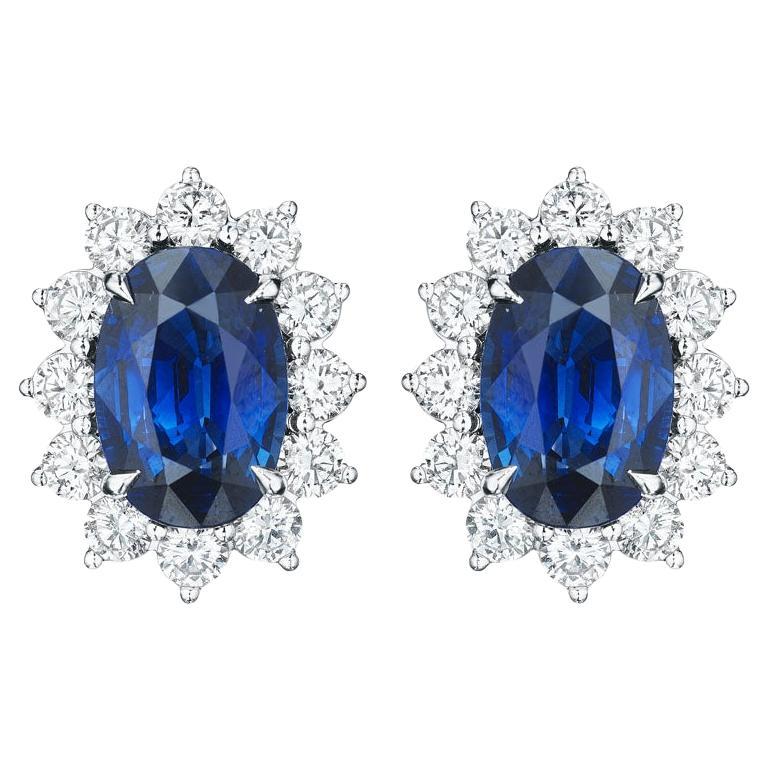 10.20ct Oval Sapphire & Round Diamond Earrings in Platinum For Sale