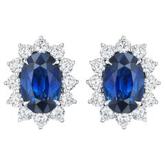 10.20ct Oval Sapphire & Round Diamond Earrings in Platinum
