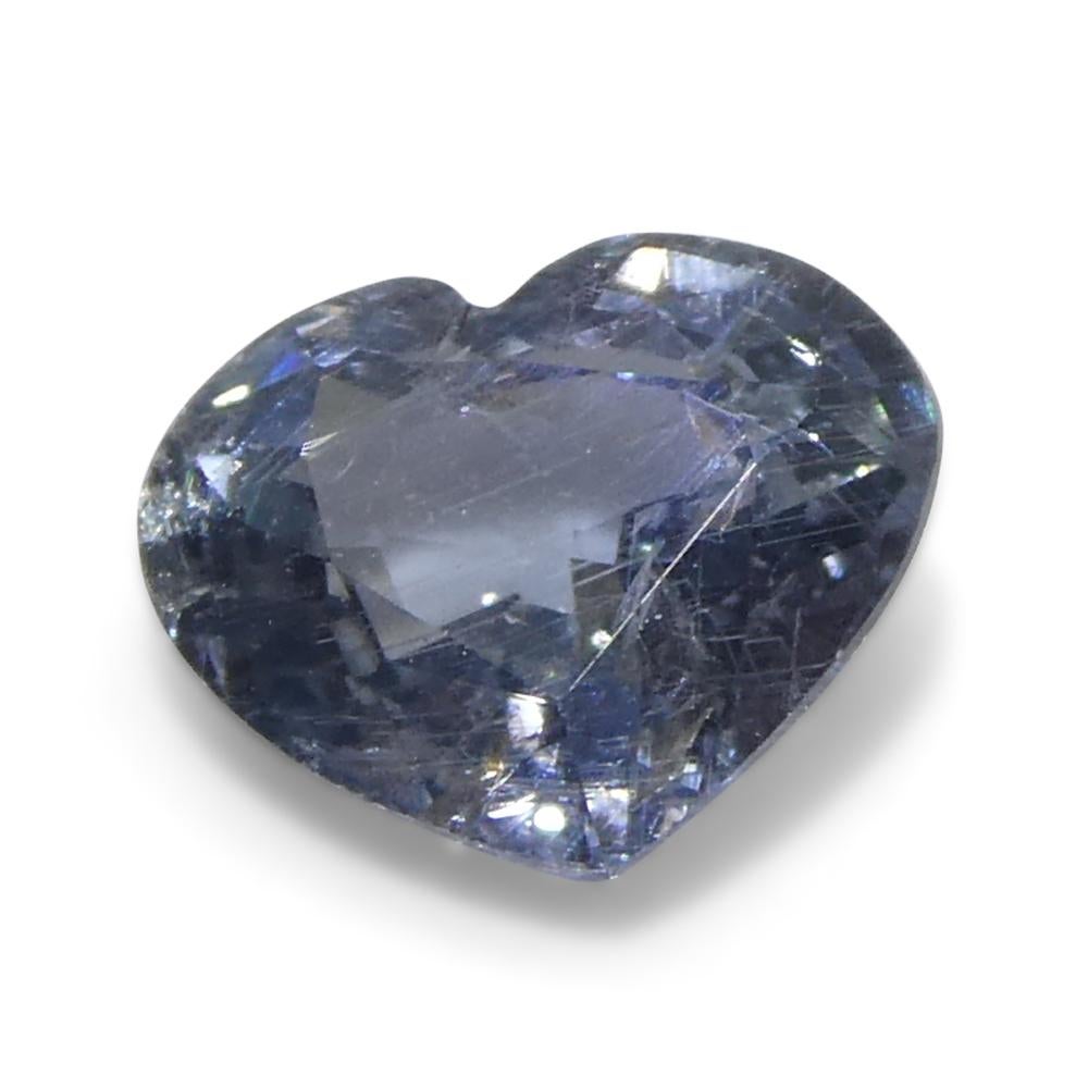 1.02ct Heart Blue Sapphire from Tanzania Unheated For Sale 2