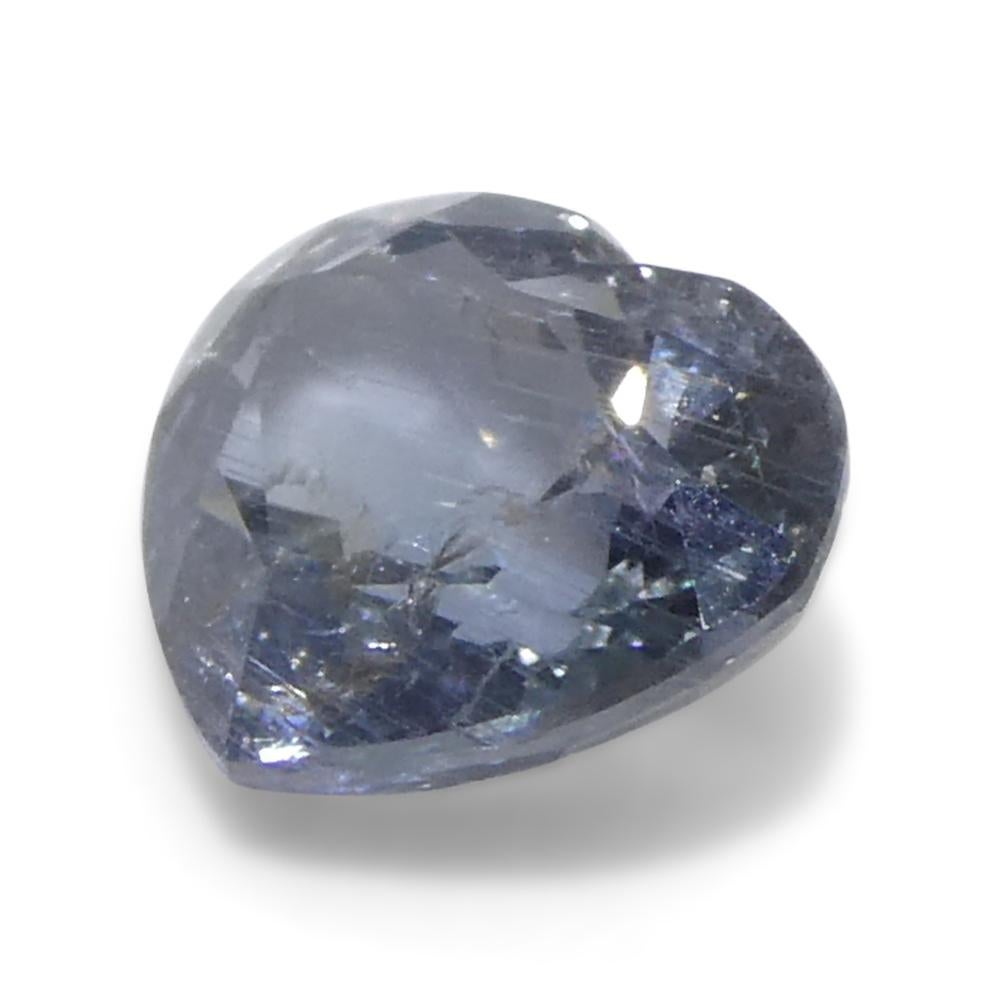 1.02ct Heart Blue Sapphire from Tanzania Unheated For Sale 3