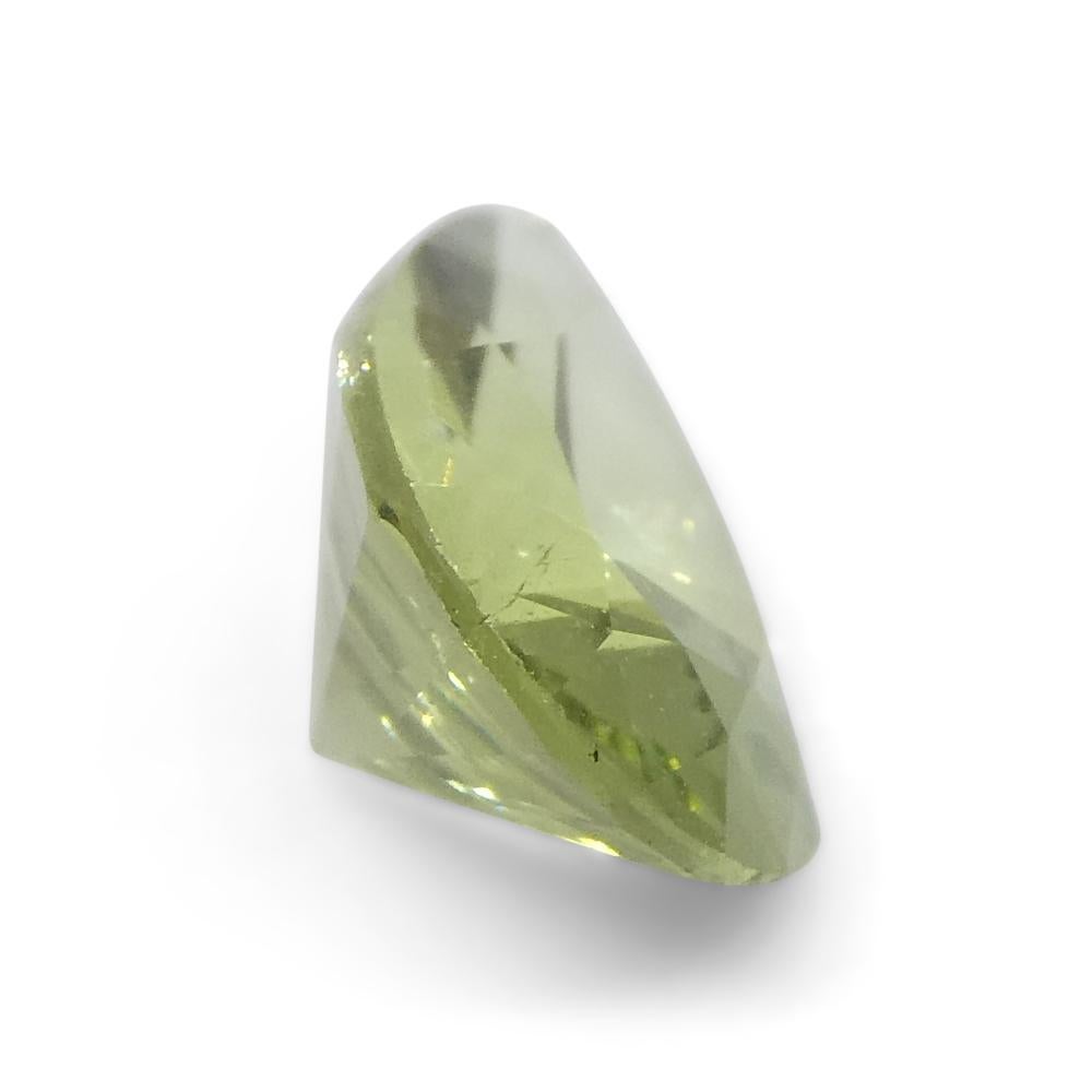 1.02ct Pear Green Tourmaline from Brazil For Sale 7