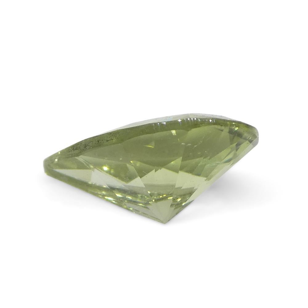 1.02ct Pear Green Tourmaline from Brazil For Sale 8