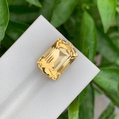 10.30 Carat Natural Loose Citrine Hexagon Cut Gem For Jewellery