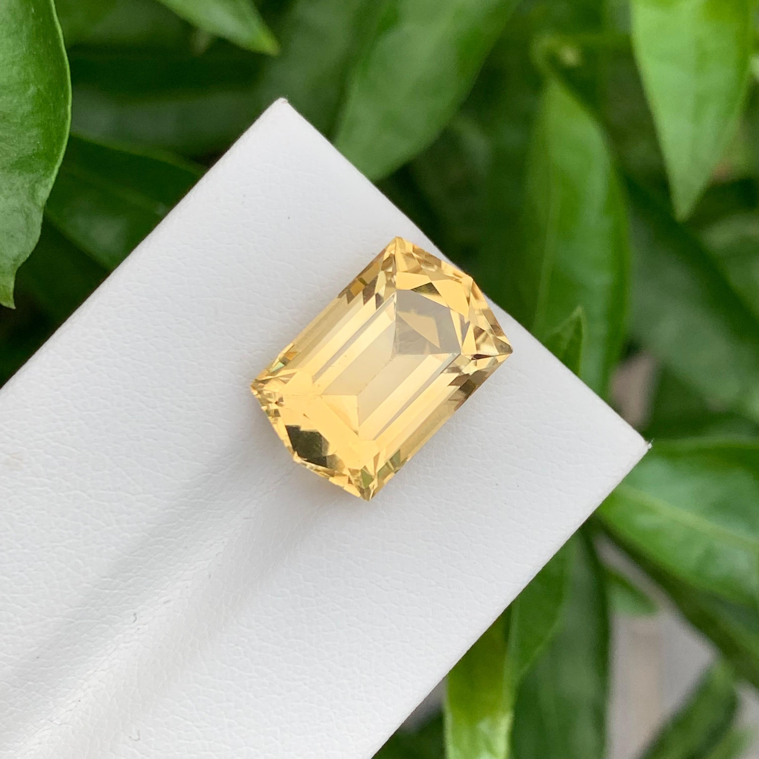 10.30 Karat natürlicher loser Citrin im Sechseckigen Schliff für Schmuck mit Sechseckschliff (Arts and Crafts) im Angebot
