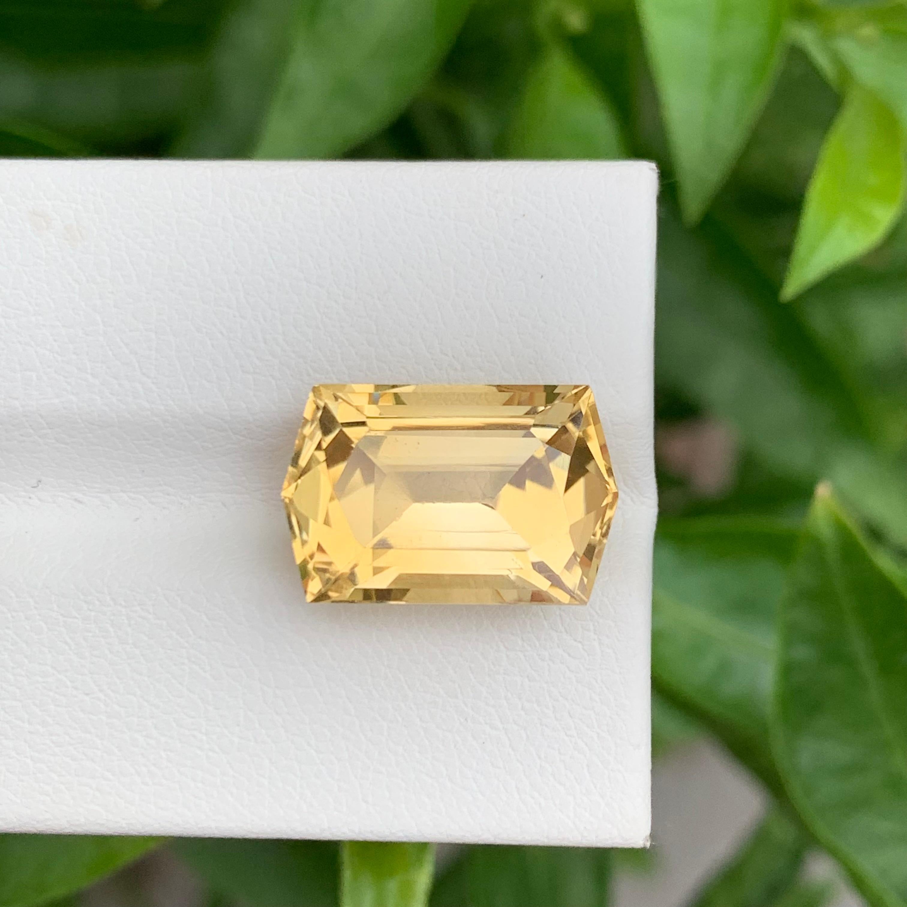10.30 Karat natürlicher loser Citrin im Sechseckigen Schliff für Schmuck mit Sechseckschliff für Damen oder Herren im Angebot