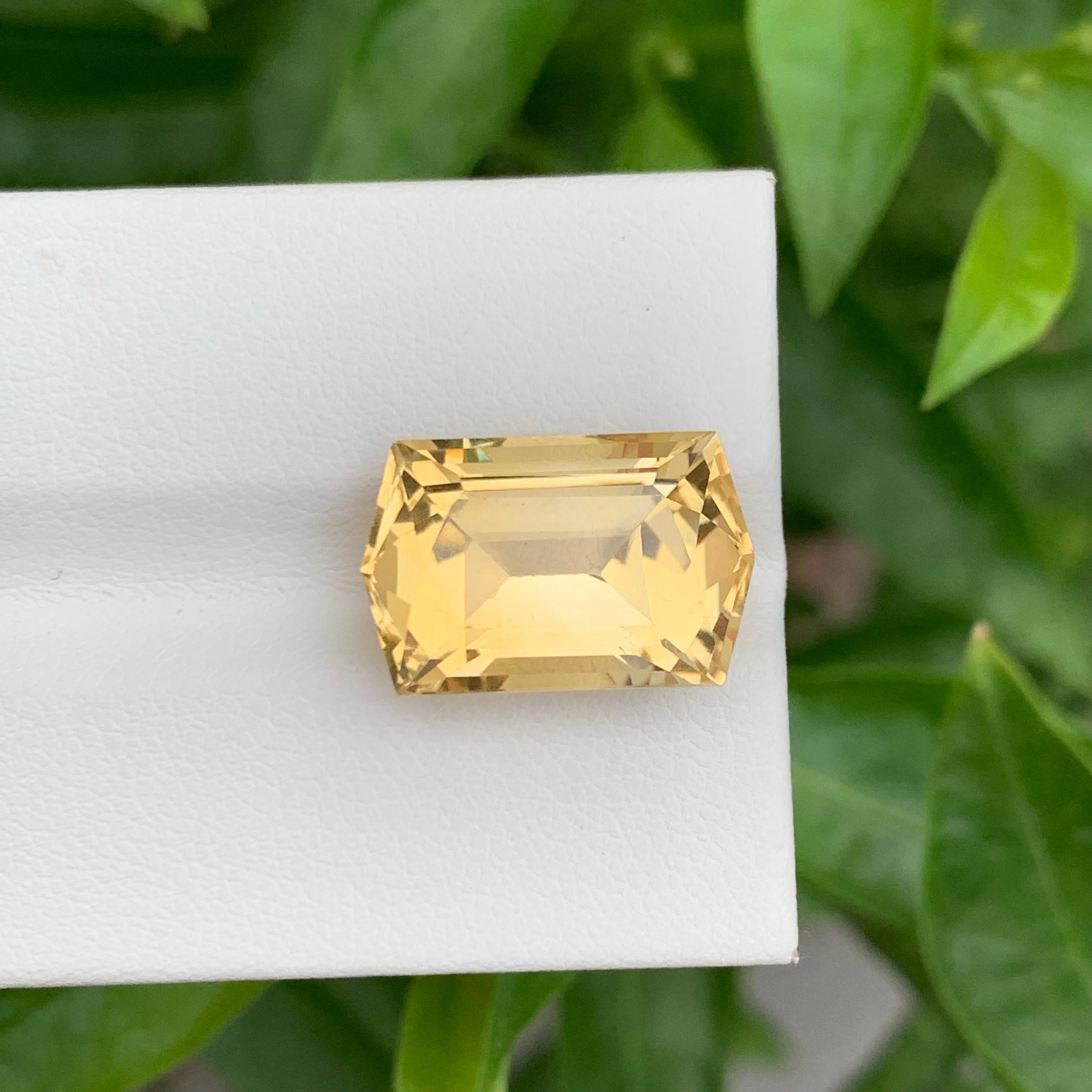 10.30 Karat natürlicher loser Citrin im Sechseckigen Schliff für Schmuck mit Sechseckschliff im Angebot 1