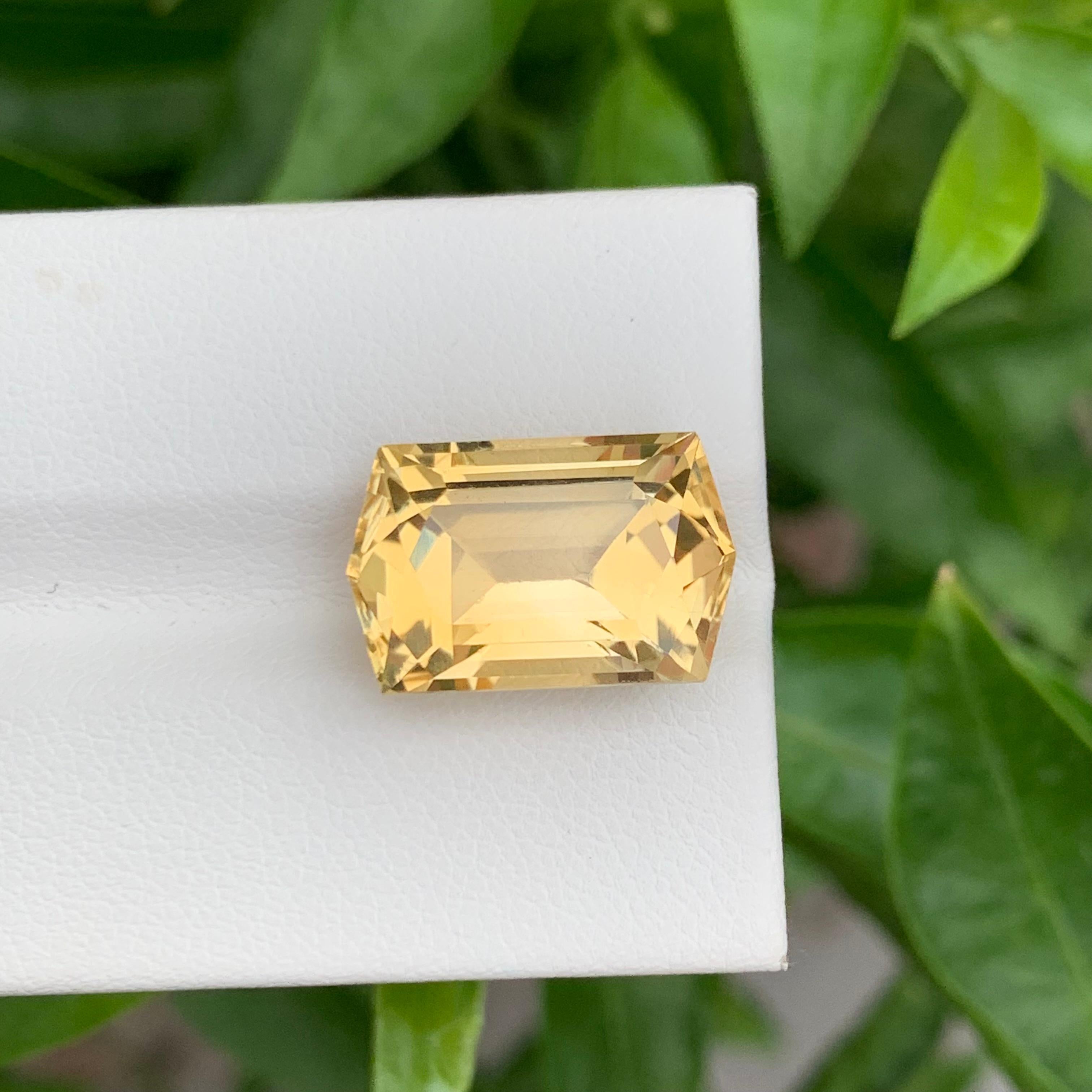 10.30 Karat natürlicher loser Citrin im Sechseckigen Schliff für Schmuck mit Sechseckschliff im Angebot 2