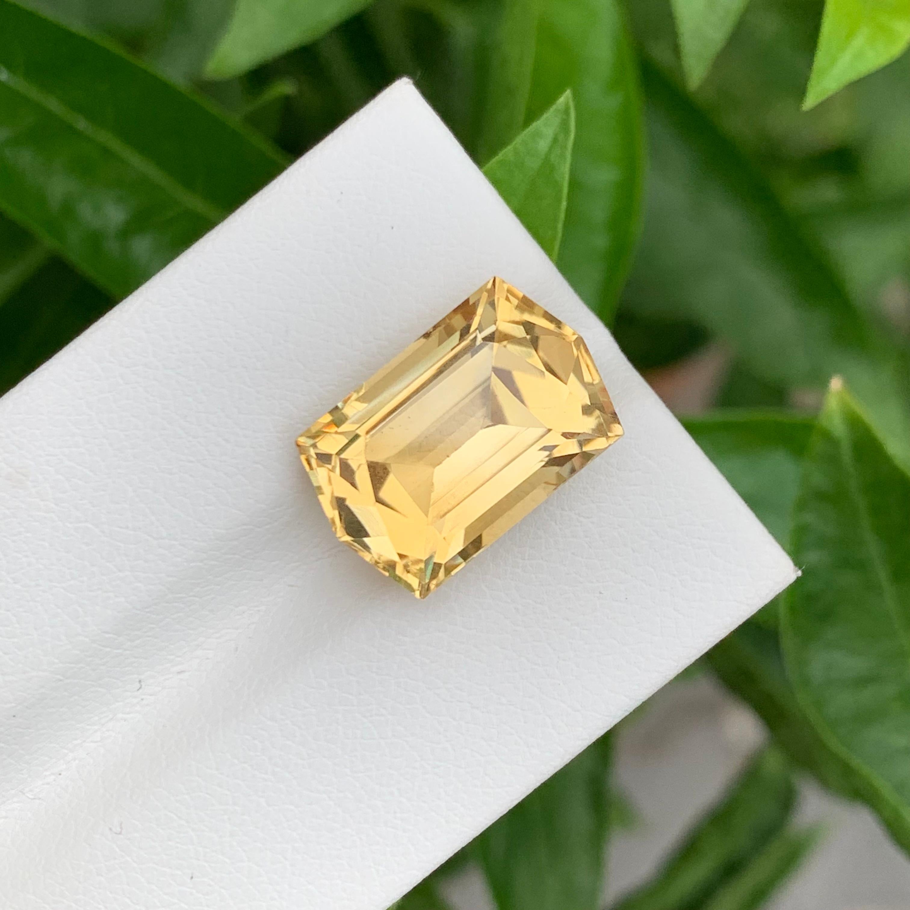 10.30 Karat natürlicher loser Citrin im Sechseckigen Schliff für Schmuck mit Sechseckschliff im Angebot 3