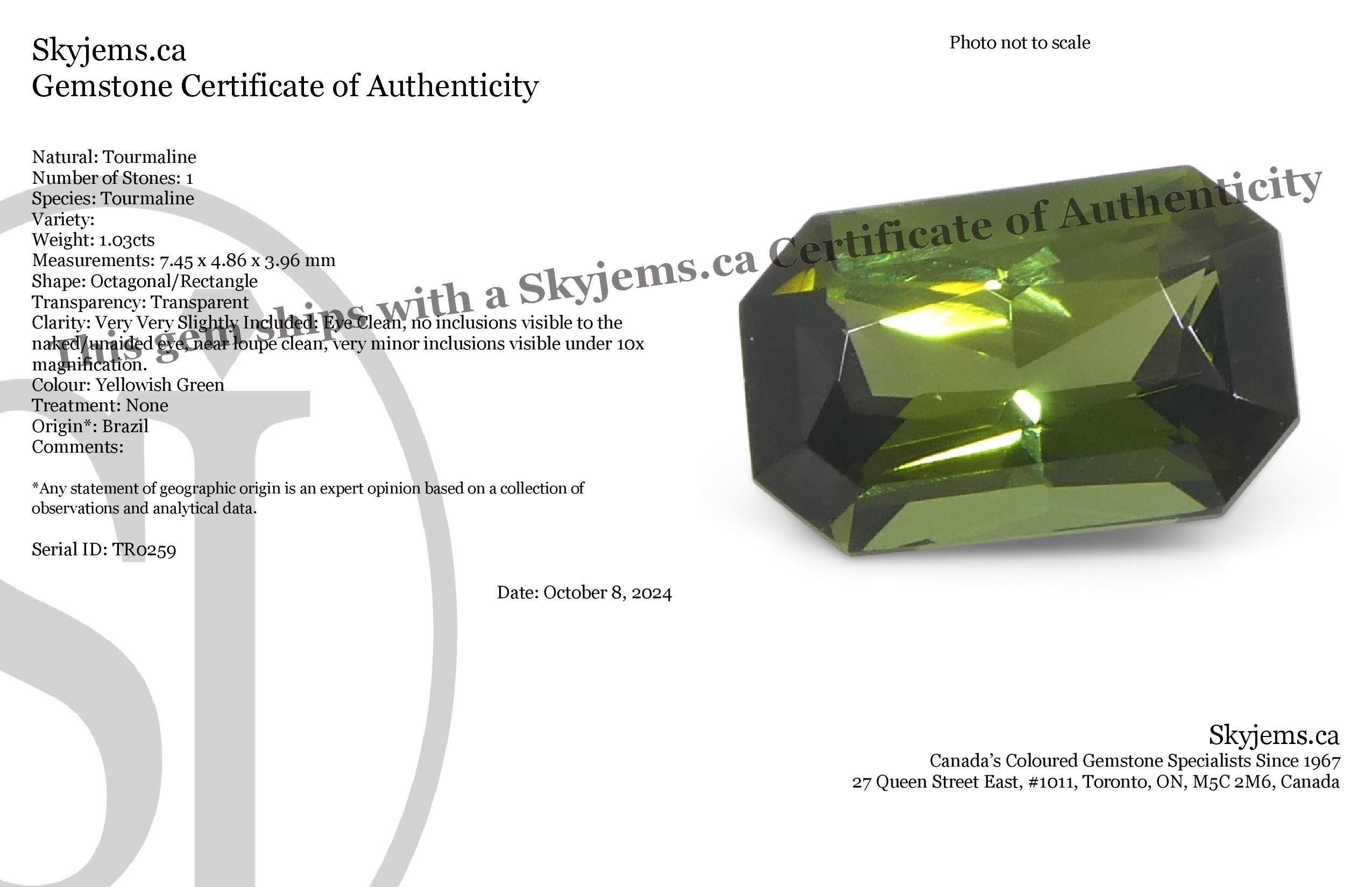 Description:

Gem Type: Tourmaline 
Number of Stones: 1
Weight: 1.03 cts
Measurements: 7.45 x 4.86 x 3.96 mm
Shape: Octagonal/Rectangle
Cutting Style: 
Cutting Style Crown: Step Cut
Cutting Style Pavilion: Brilliant Cut 
Transparency: