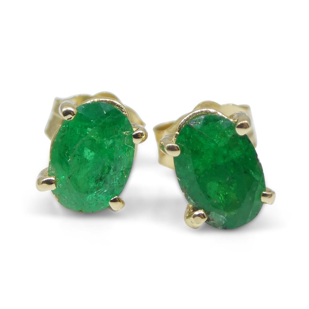 1,03ct Ovaler grüner kolumbianischer Smaragd Ohrstecker in 14k Gelbgold im Angebot 5