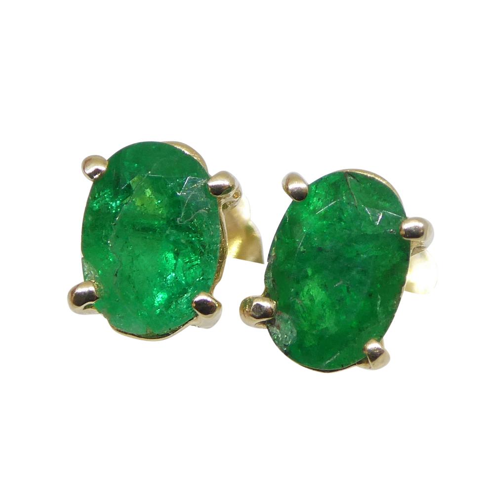 1,03ct Ovaler grüner kolumbianischer Smaragd Ohrstecker in 14k Gelbgold im Zustand „Neu“ im Angebot in Toronto, Ontario