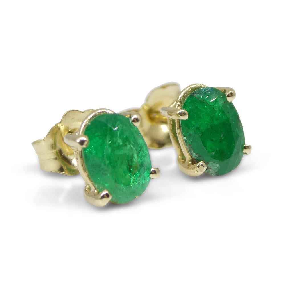 1,03ct Ovaler grüner kolumbianischer Smaragd Ohrstecker in 14k Gelbgold im Angebot 1
