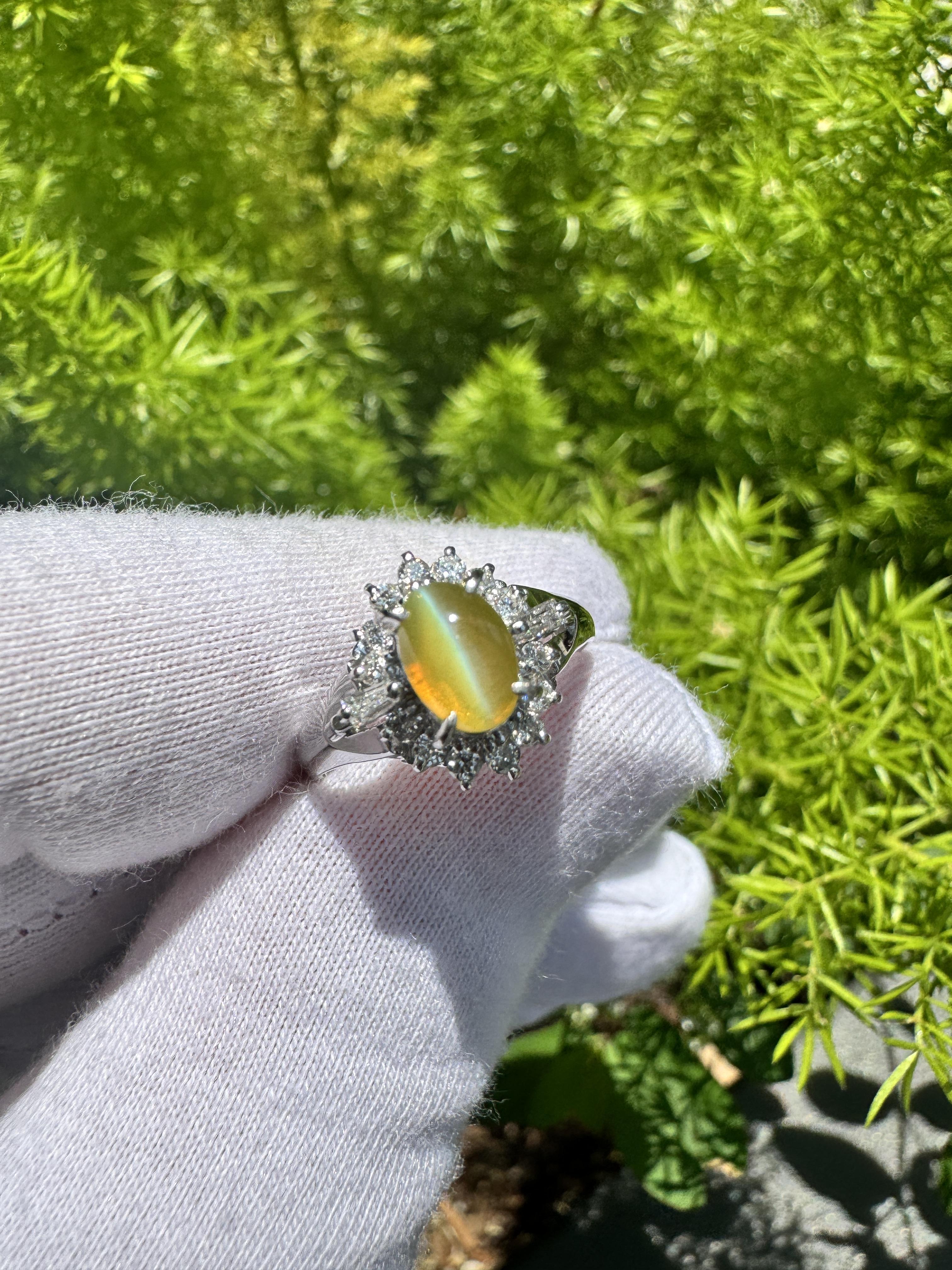 Green Chrysoberyl Cat's Eye and Diamond Platinum Ring. 

Natural chrysoberyl cat's eye engagement ring. The cat's eye weighs 1.04 carats and bears a strong and well-centered eye(chatoyancy). Paired with a surrounding halo of round-cut diamonds,