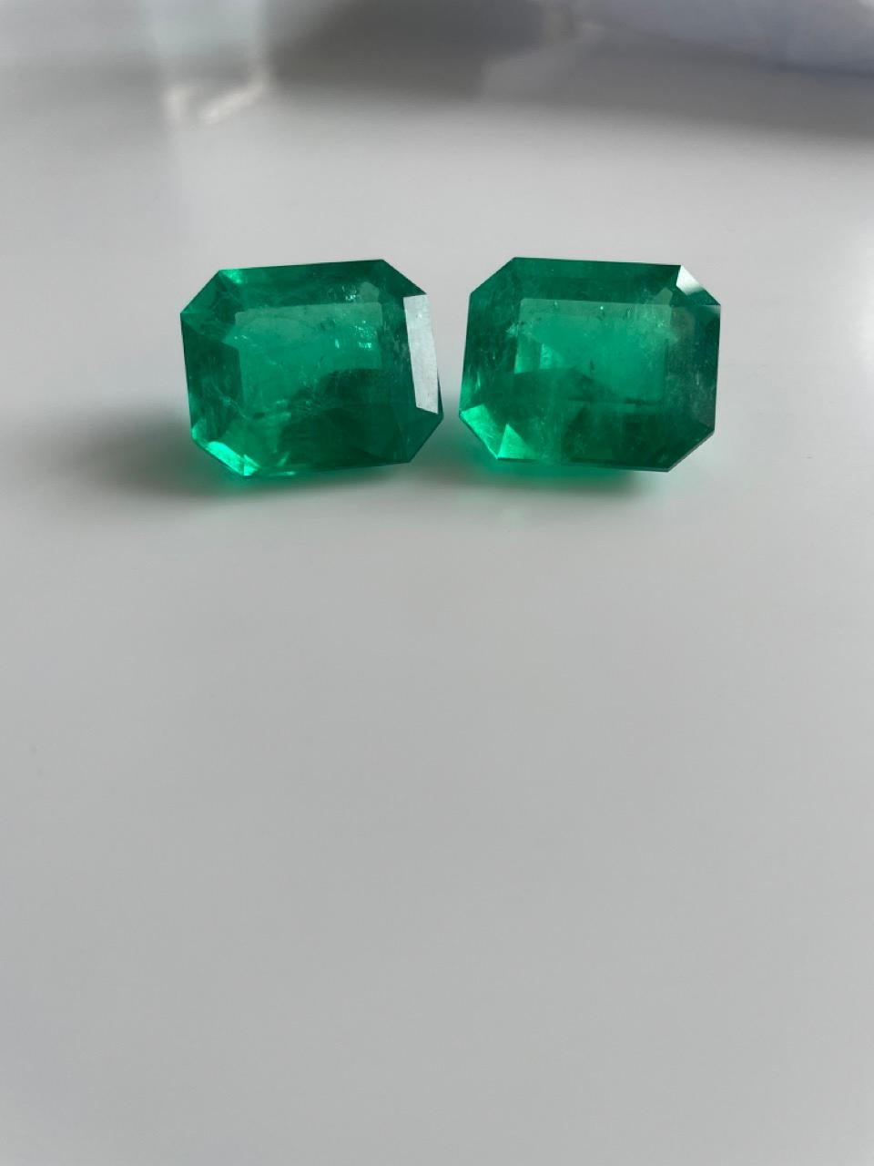 Taille octogone Paire de taille octogonale colombienne 104 carats en vente
