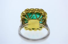 10.41ct Green Emerald and 1.60ctw Diamond Ring in 18K White Gold & Yellow Gold